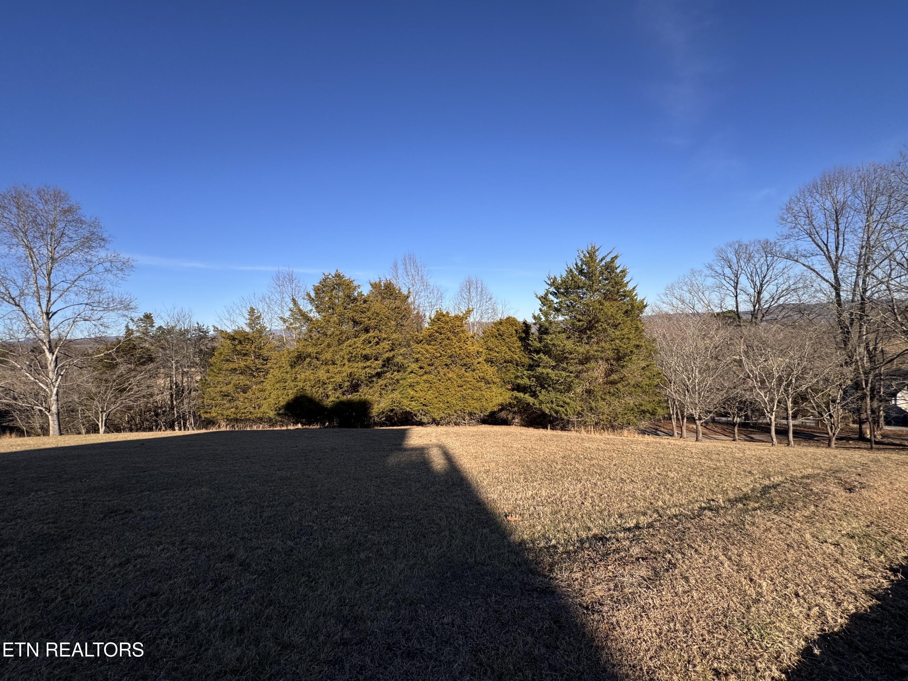 0 Wedgewood Lane Property Photo 11