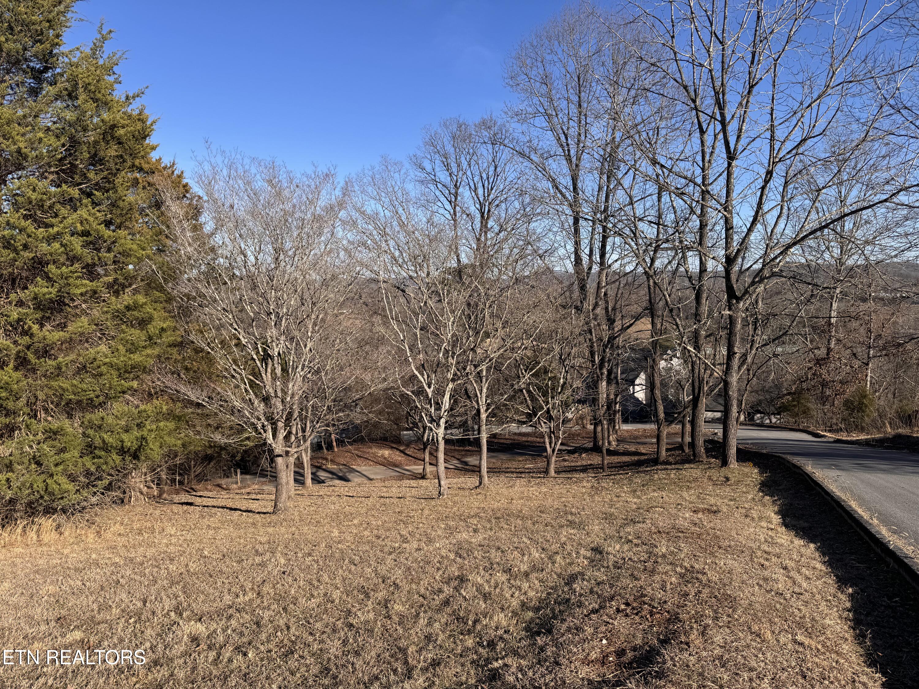 0 Wedgewood Lane Property Photo 16