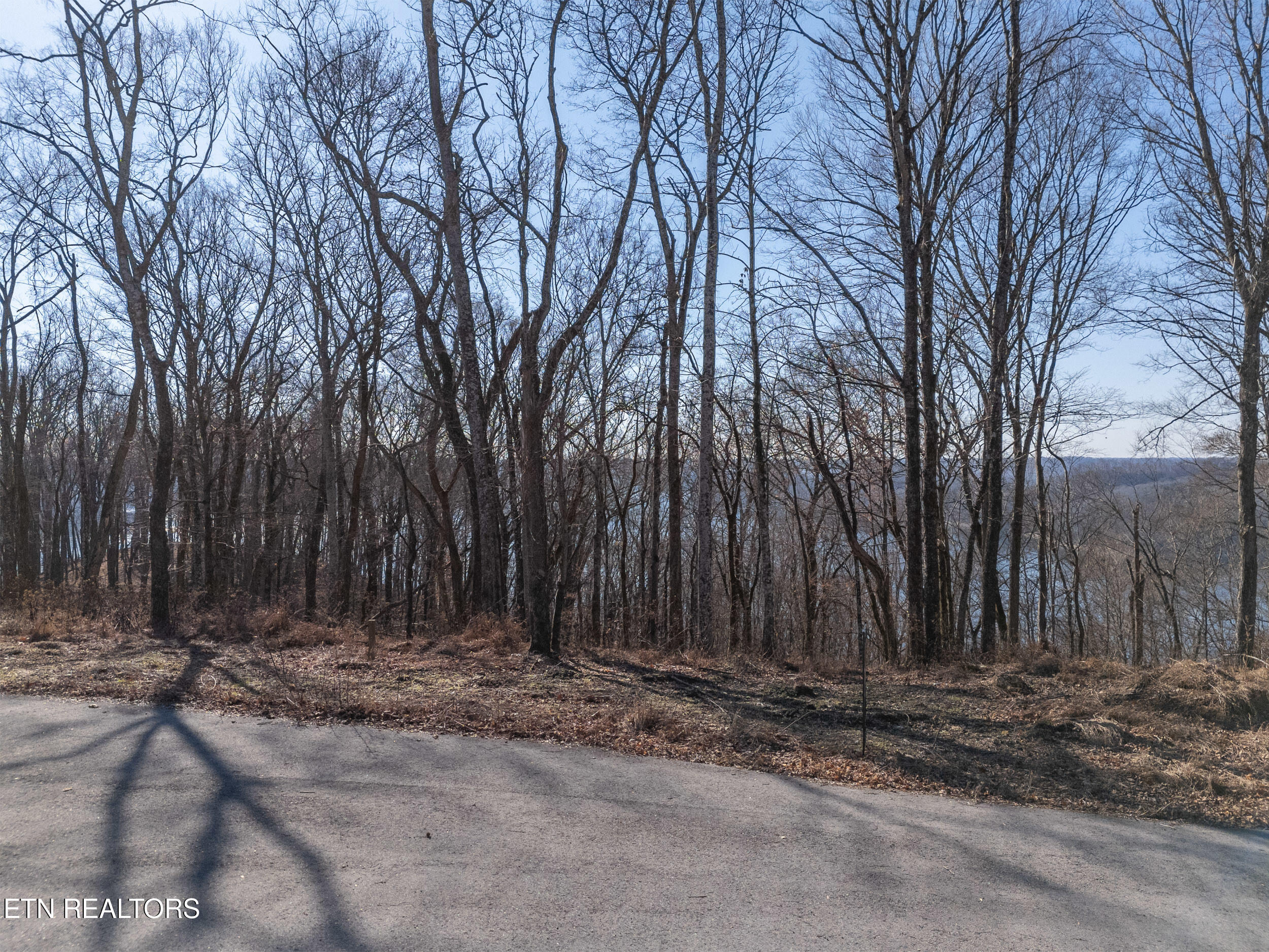 1 Ac Back Ranch Drive Property Photo 7