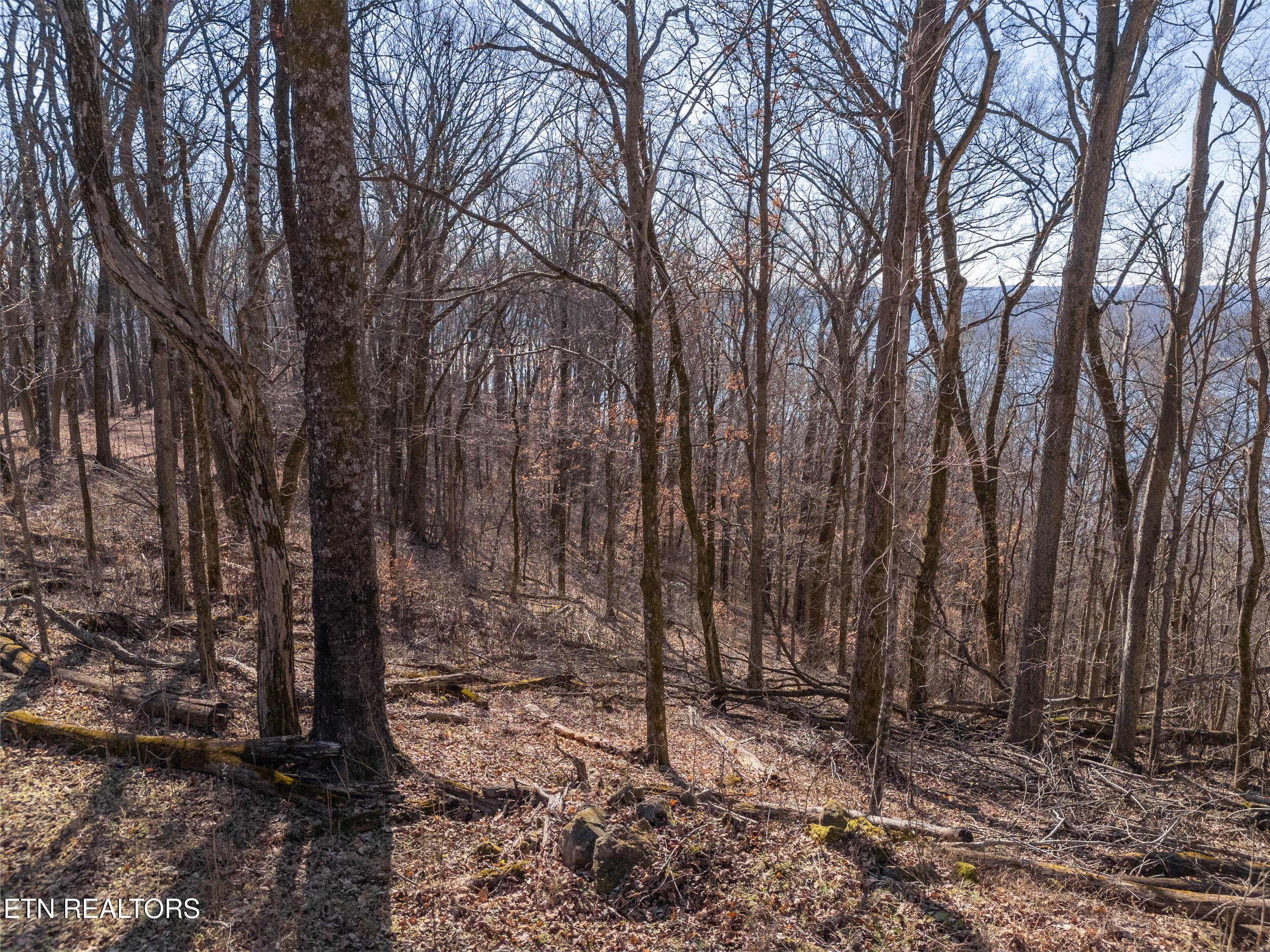 1 Ac Back Ranch Drive Property Photo 8