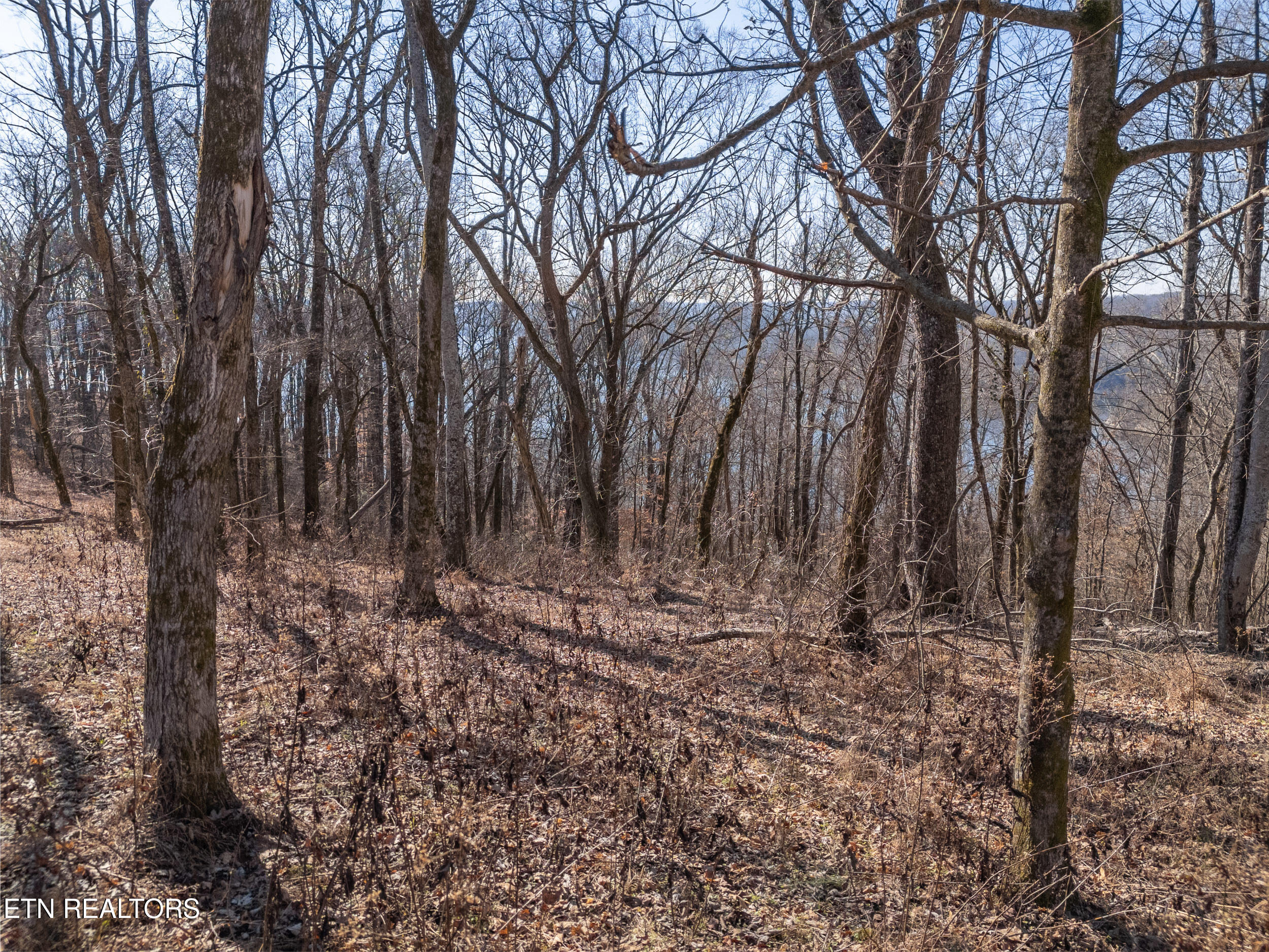 1 Ac Back Ranch Drive Property Photo 9