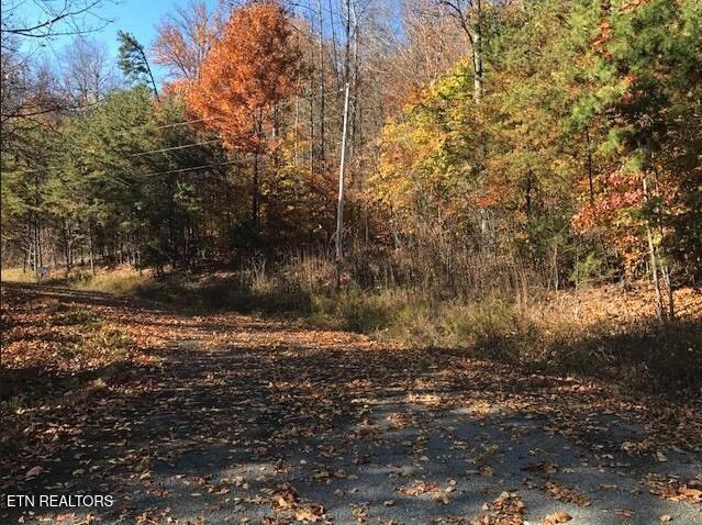 Lot 122 Settlers Point Property Photo 12