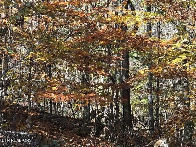 Lot 122 Settlers Point Property Photo 13