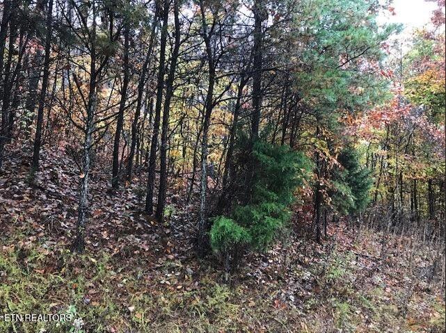 Lot 122 Settlers Point Property Photo 14