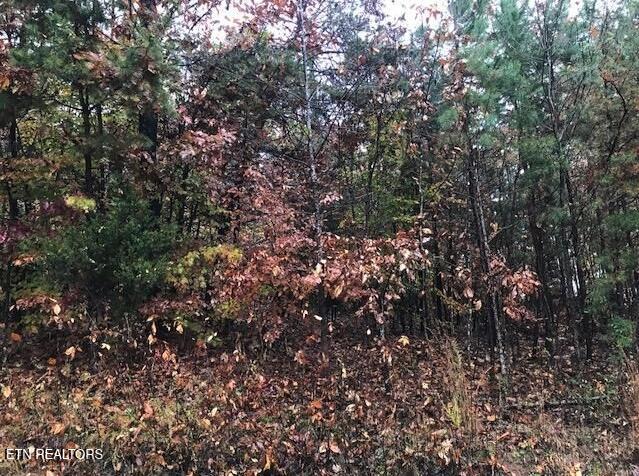 Lot 122 Settlers Point Property Photo 16