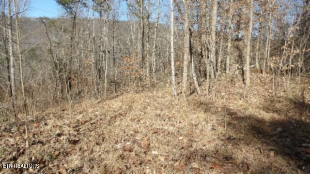 Lot 28 Apache Rd Property Photo 1