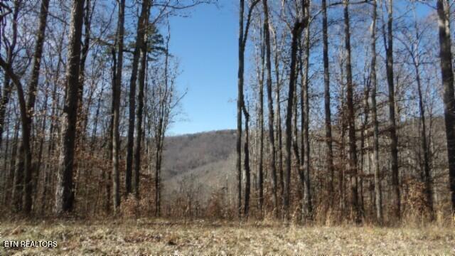 Lot 28 Apache Rd Property Photo 3