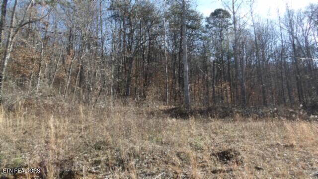 Lot 28 Apache Rd Property Photo 7