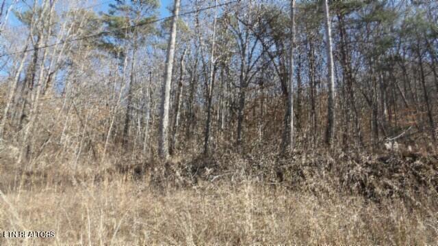 Lot 28 Apache Rd Property Photo 8