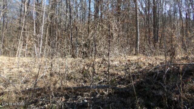 Lot 28 Apache Rd Property Photo 9