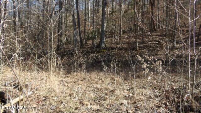Lot 28 Apache Rd Property Photo 10
