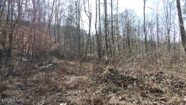 Lot 28 Apache Rd Property Photo 11