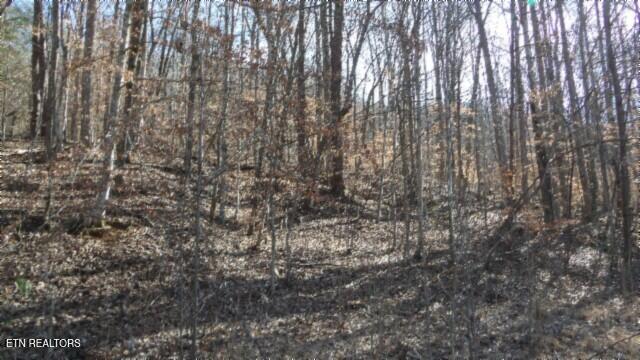 Lot 28 Apache Rd Property Photo 12