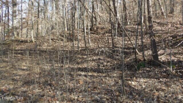 Lot 28 Apache Rd Property Photo 13