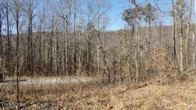 Lot 28 Apache Rd Property Photo 17