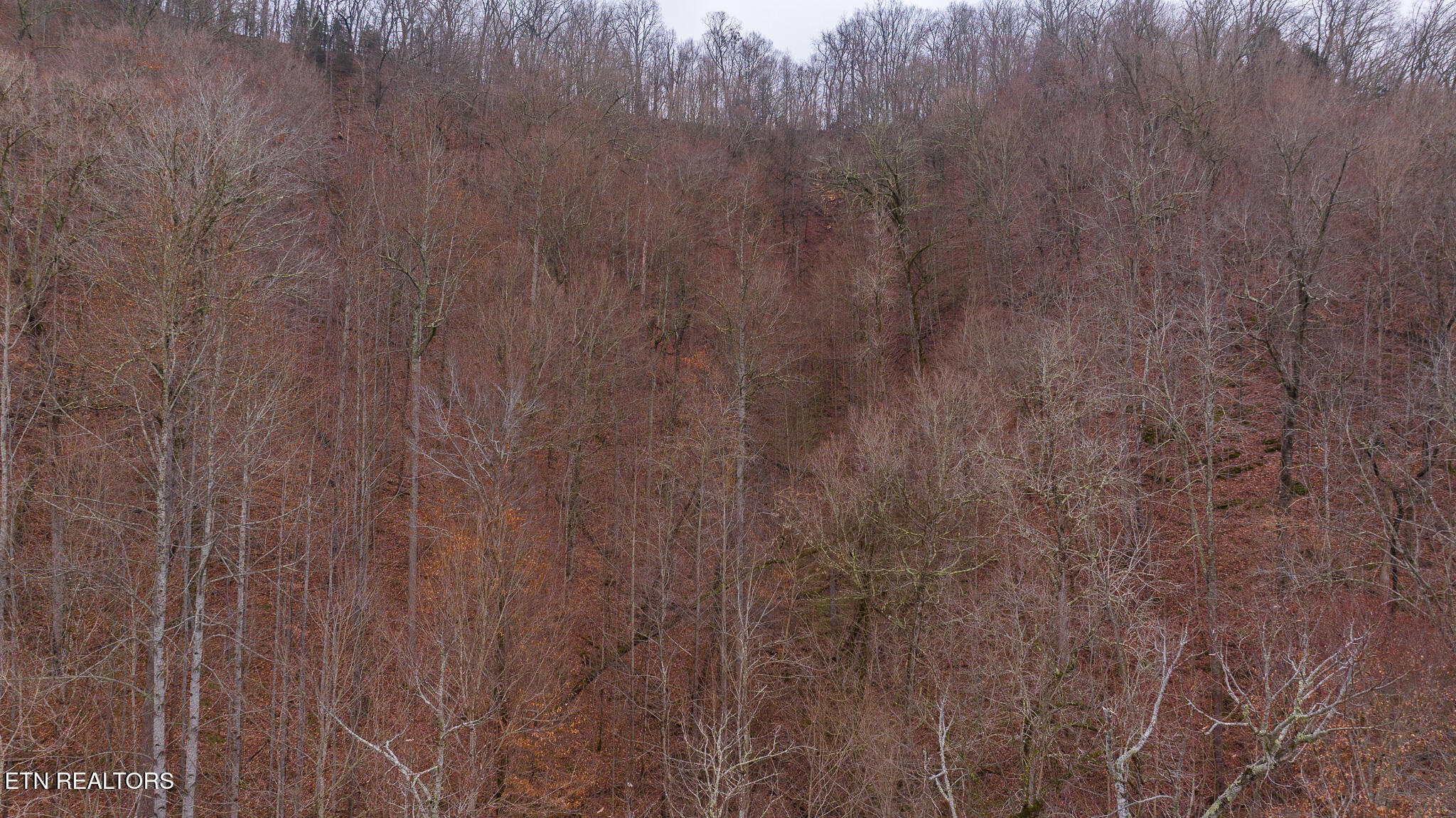 0 Gap Creek Rd Property Photo 12