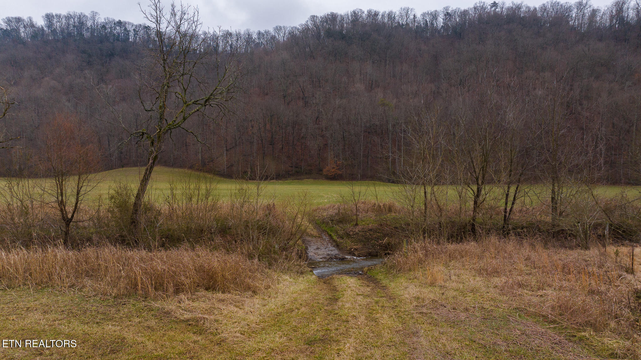 0 Gap Creek Rd Property Photo 21