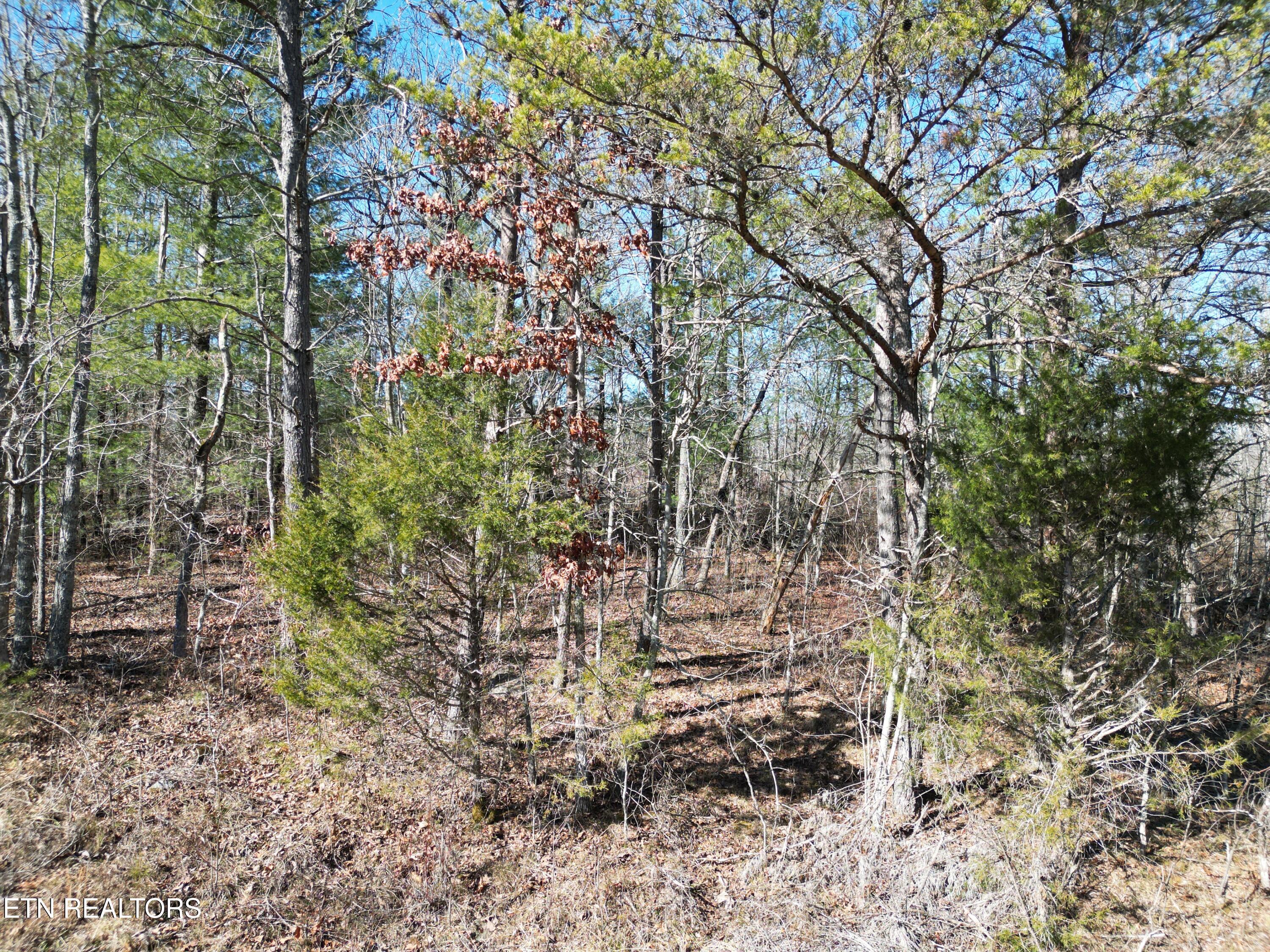 1022 Chanute Tr Property Photo 1