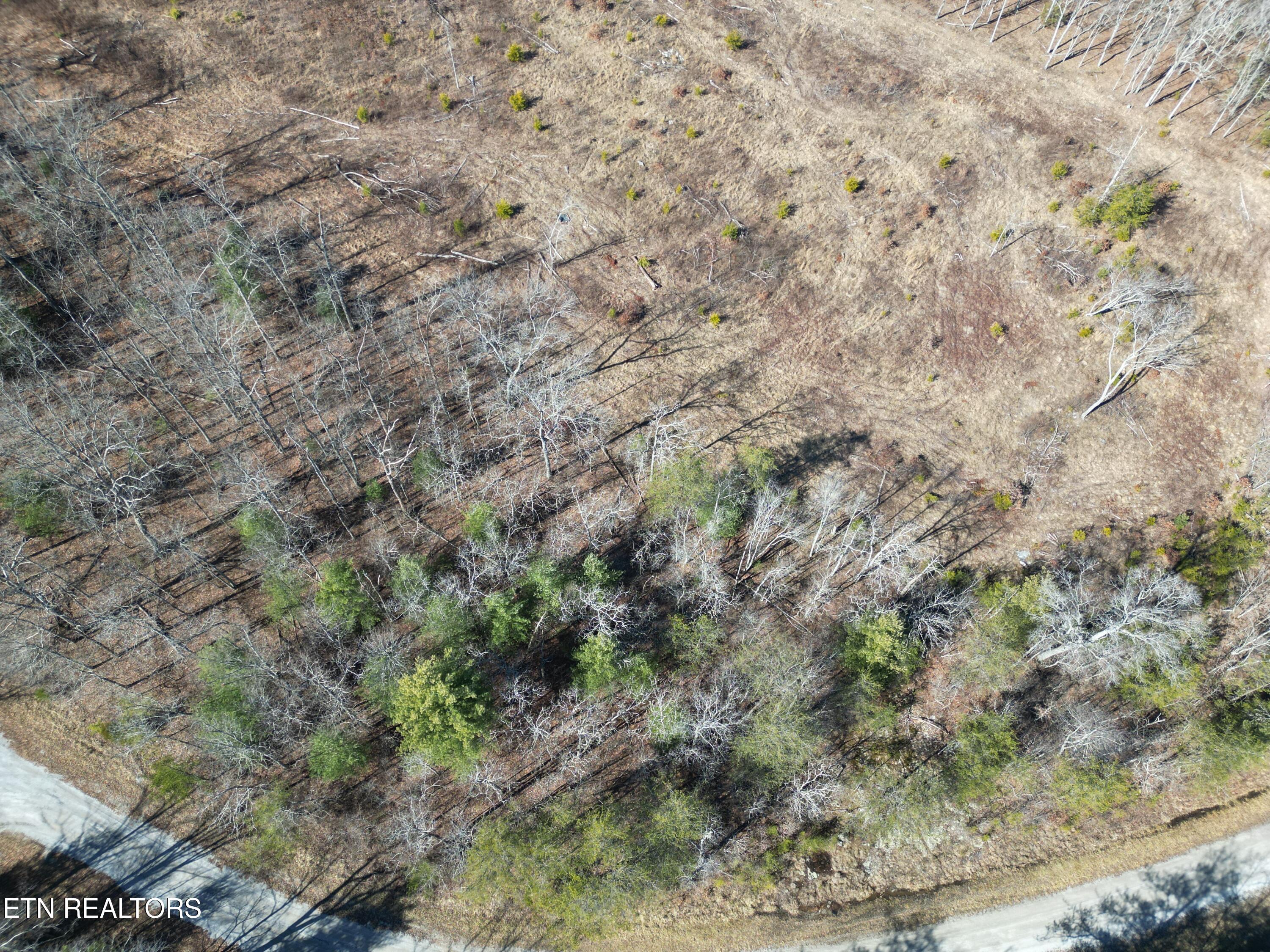 1022 Chanute Tr Property Photo 2