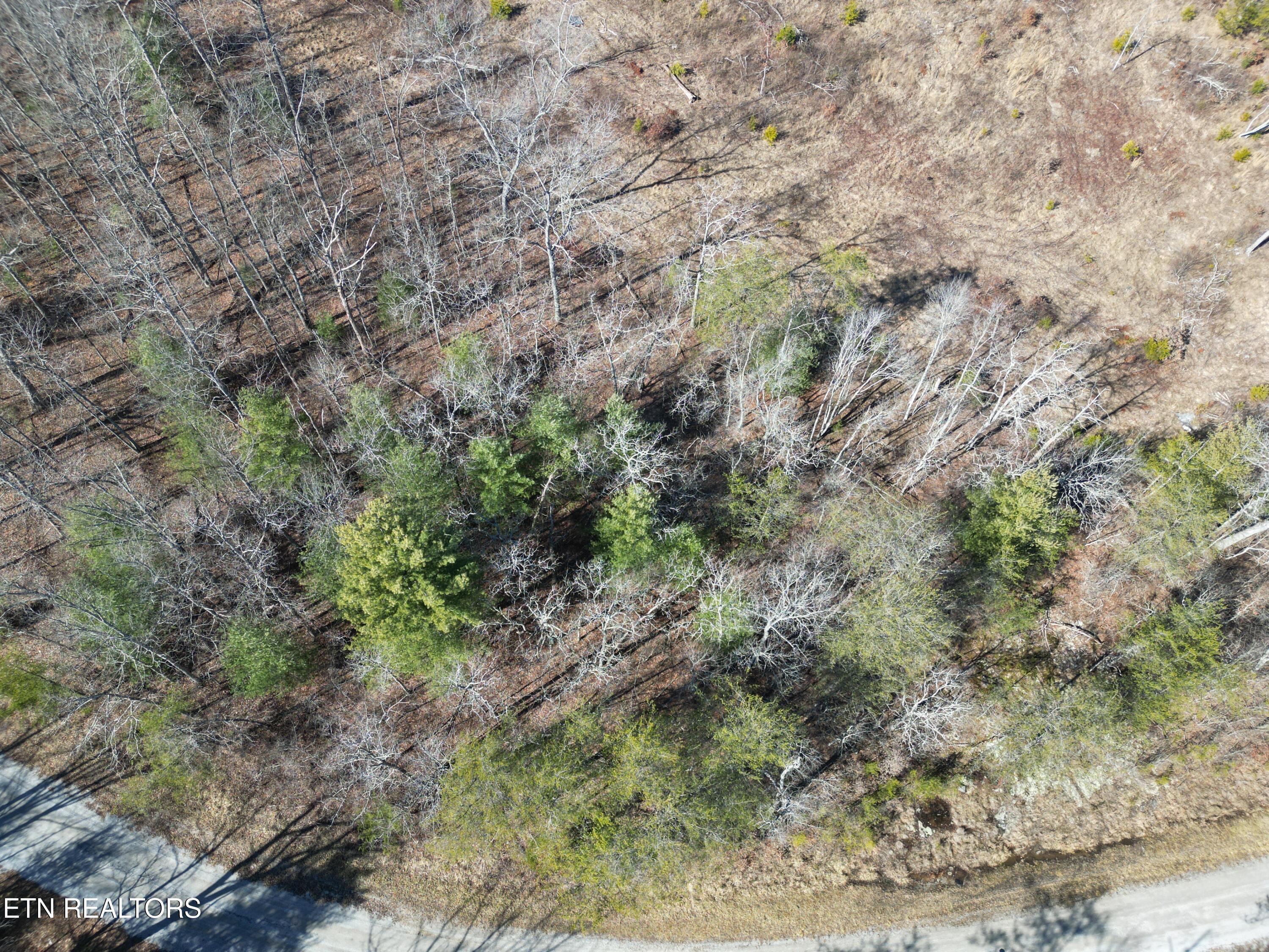 1022 Chanute Tr Property Photo 3