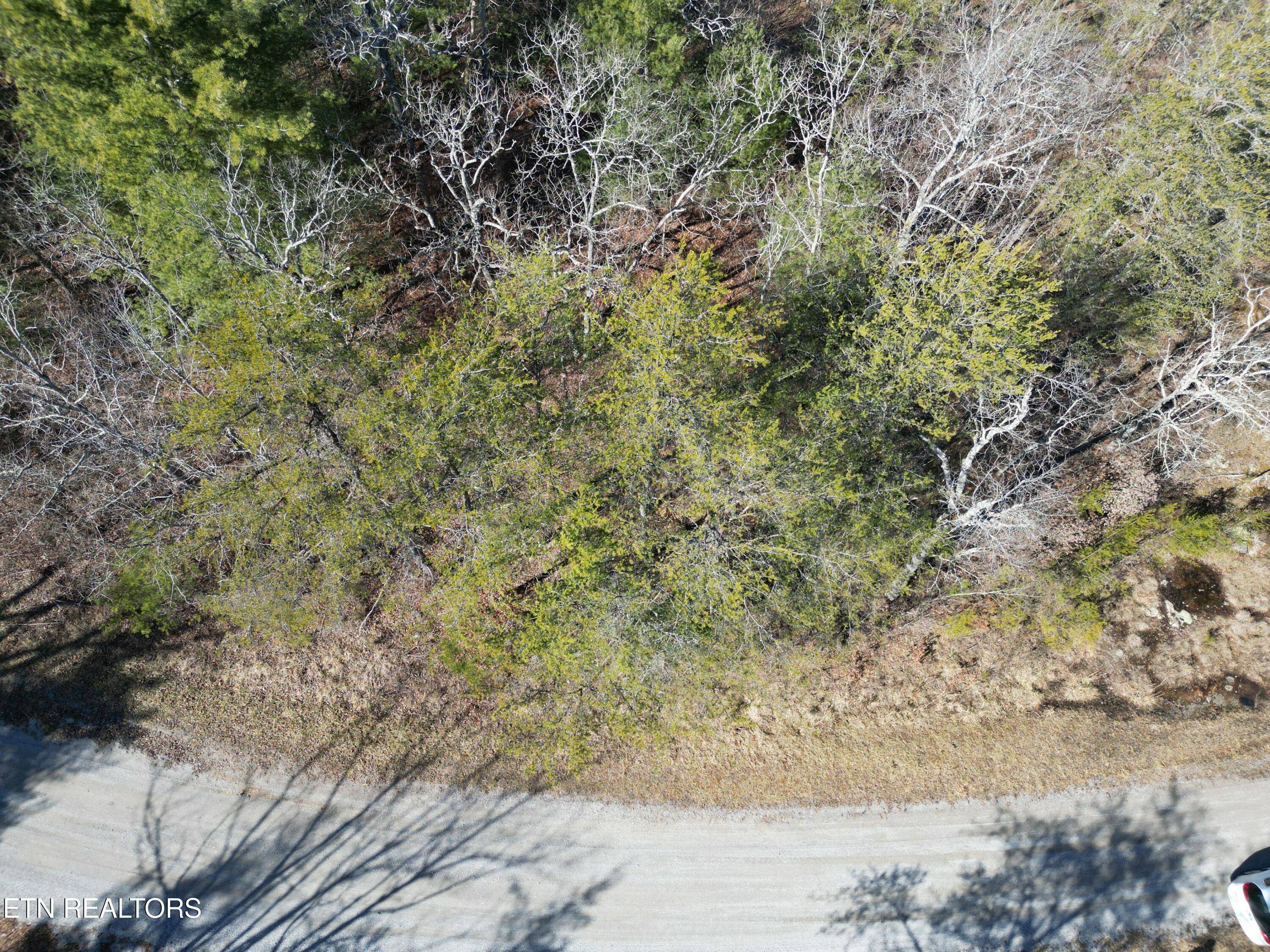 1022 Chanute Tr Property Photo 4