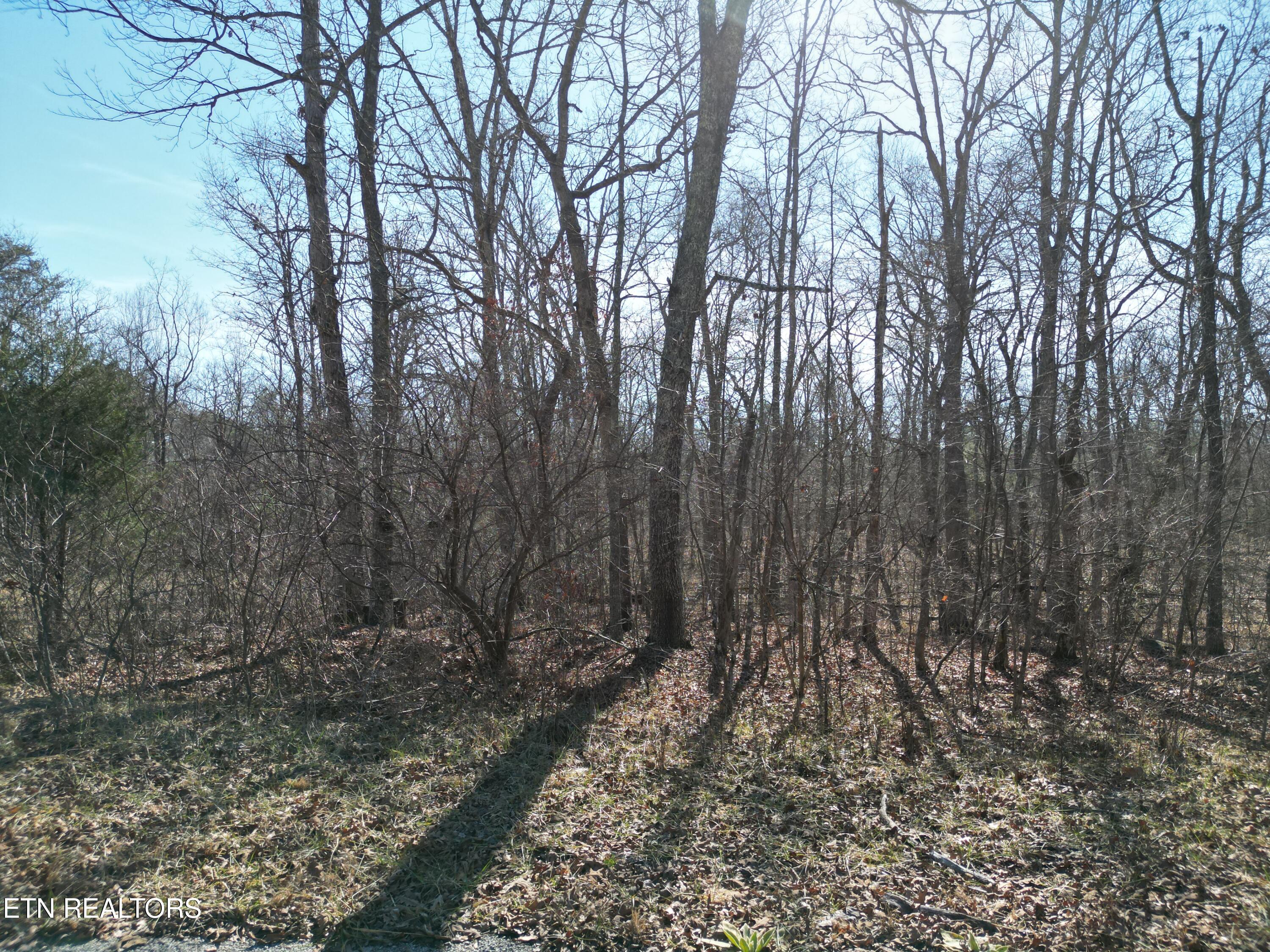 1045 Yucatan Lane Property Photo 1