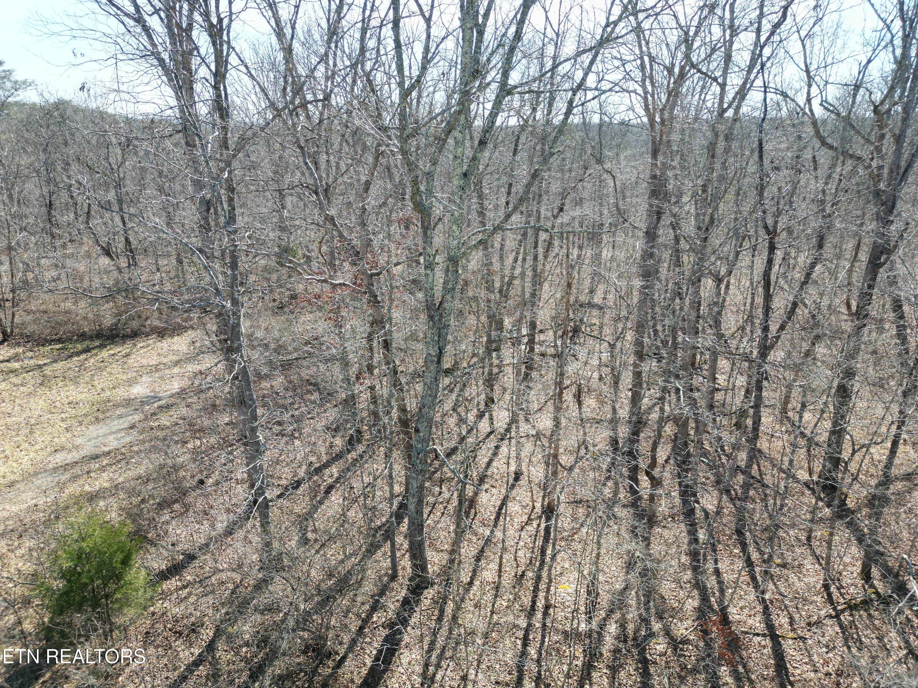 1045 Yucatan Lane Property Photo 2