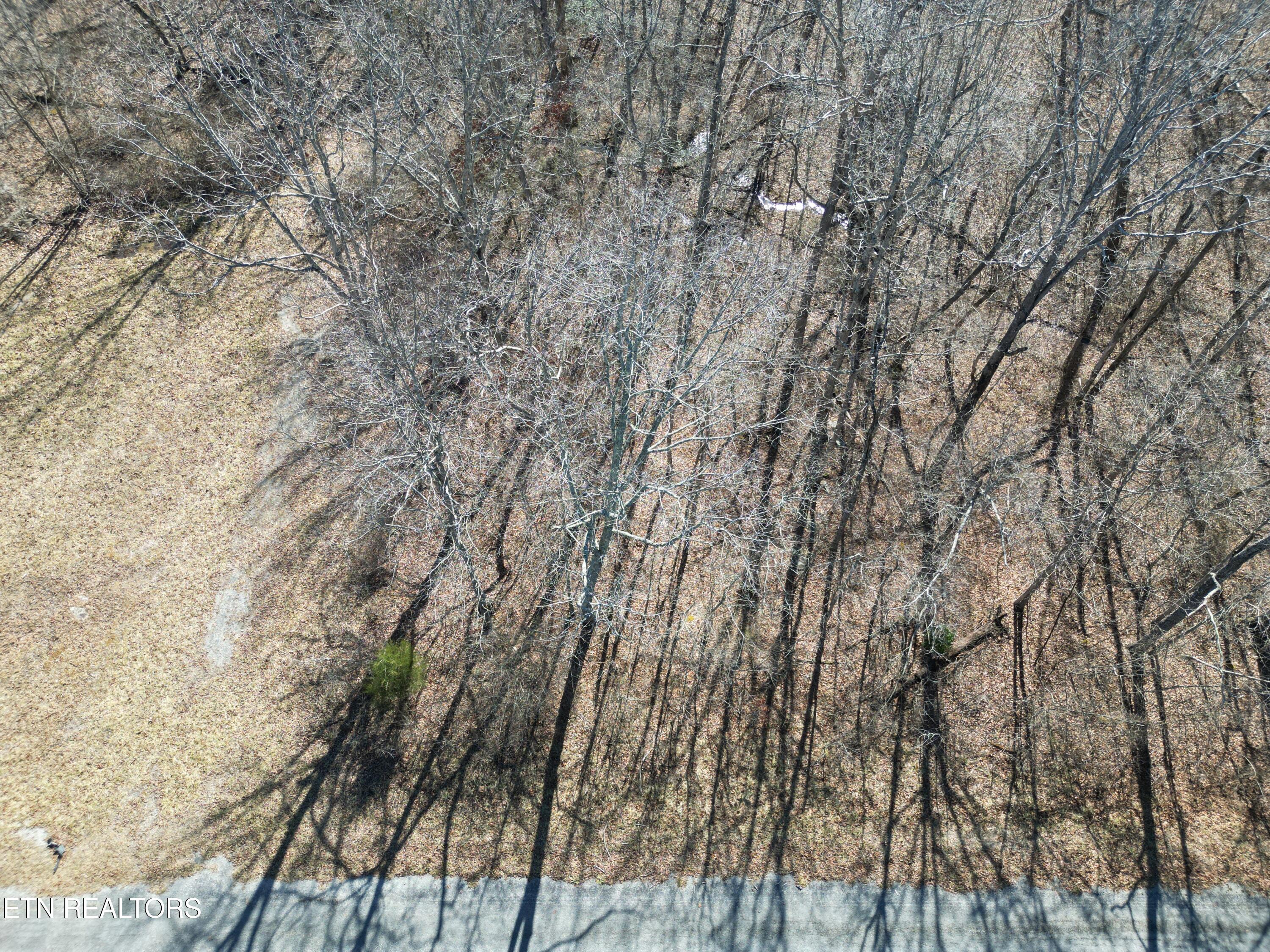 1045 Yucatan Lane Property Photo 4