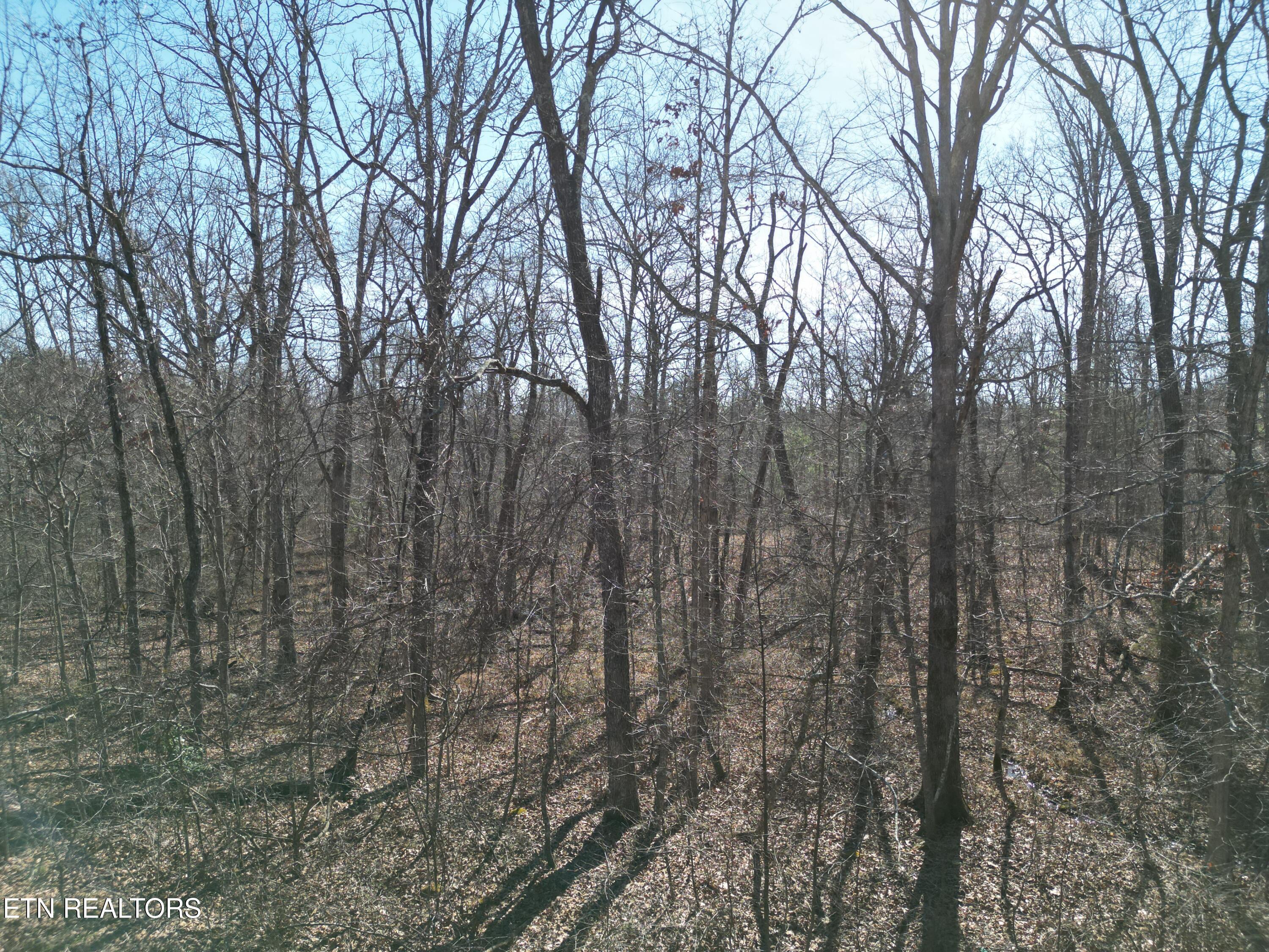 1047 Yucatan Lane Property Photo 1