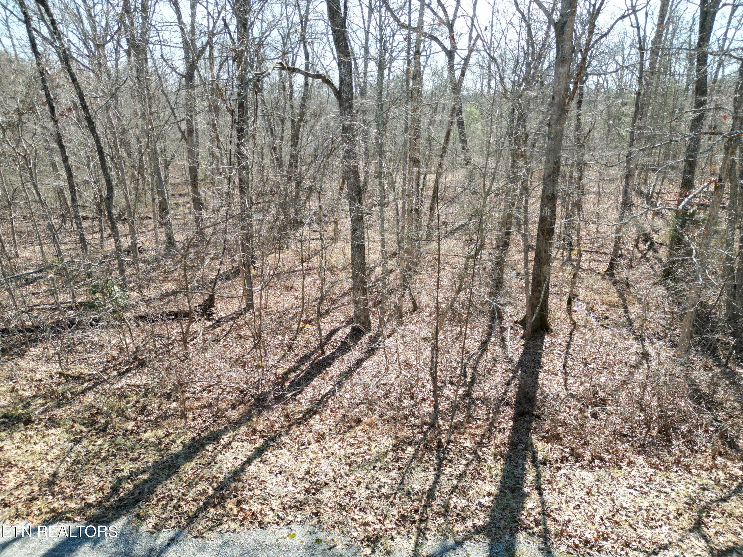 1047 Yucatan Lane Property Photo 4
