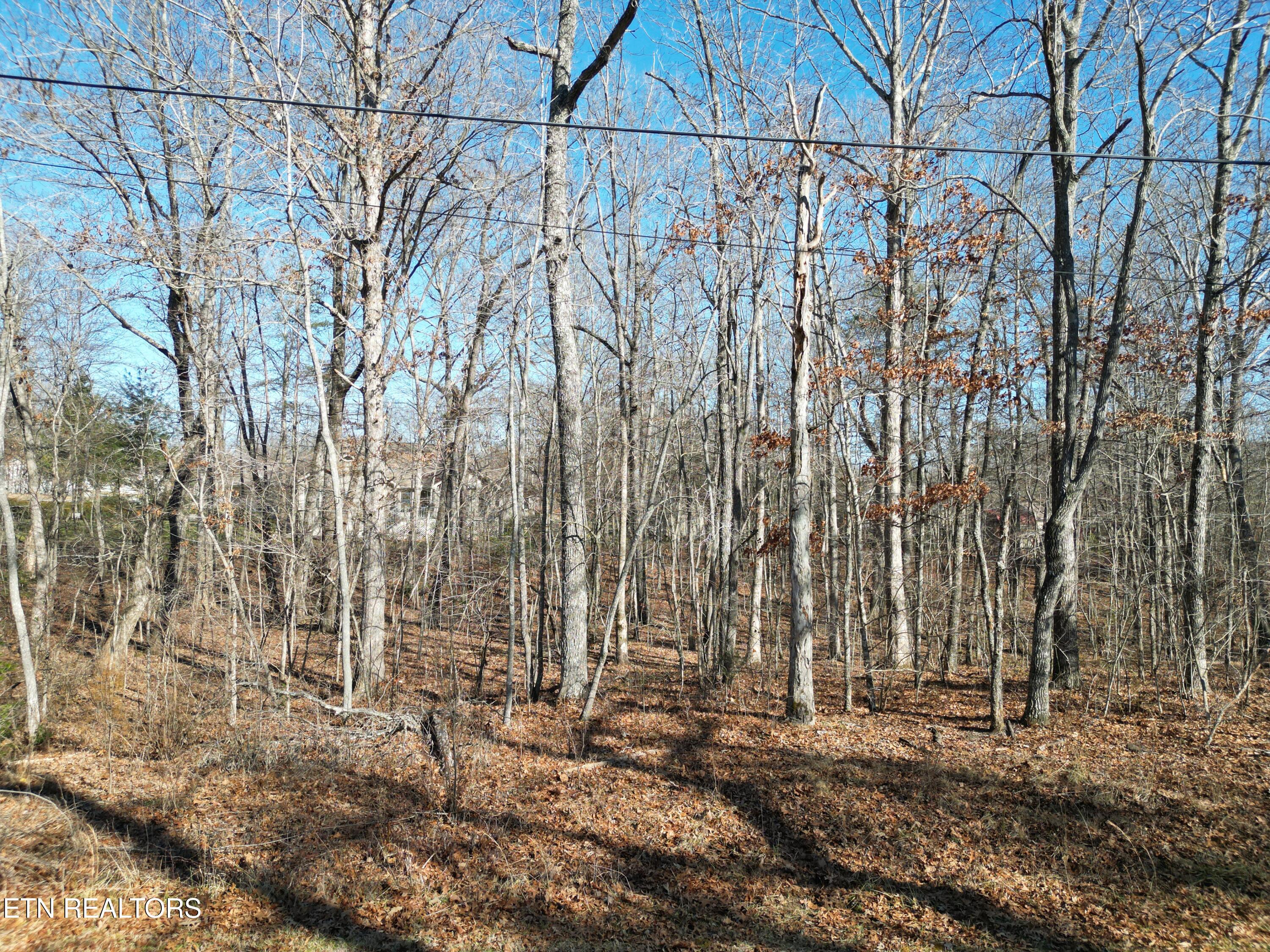 105 Chica Court Property Photo 1