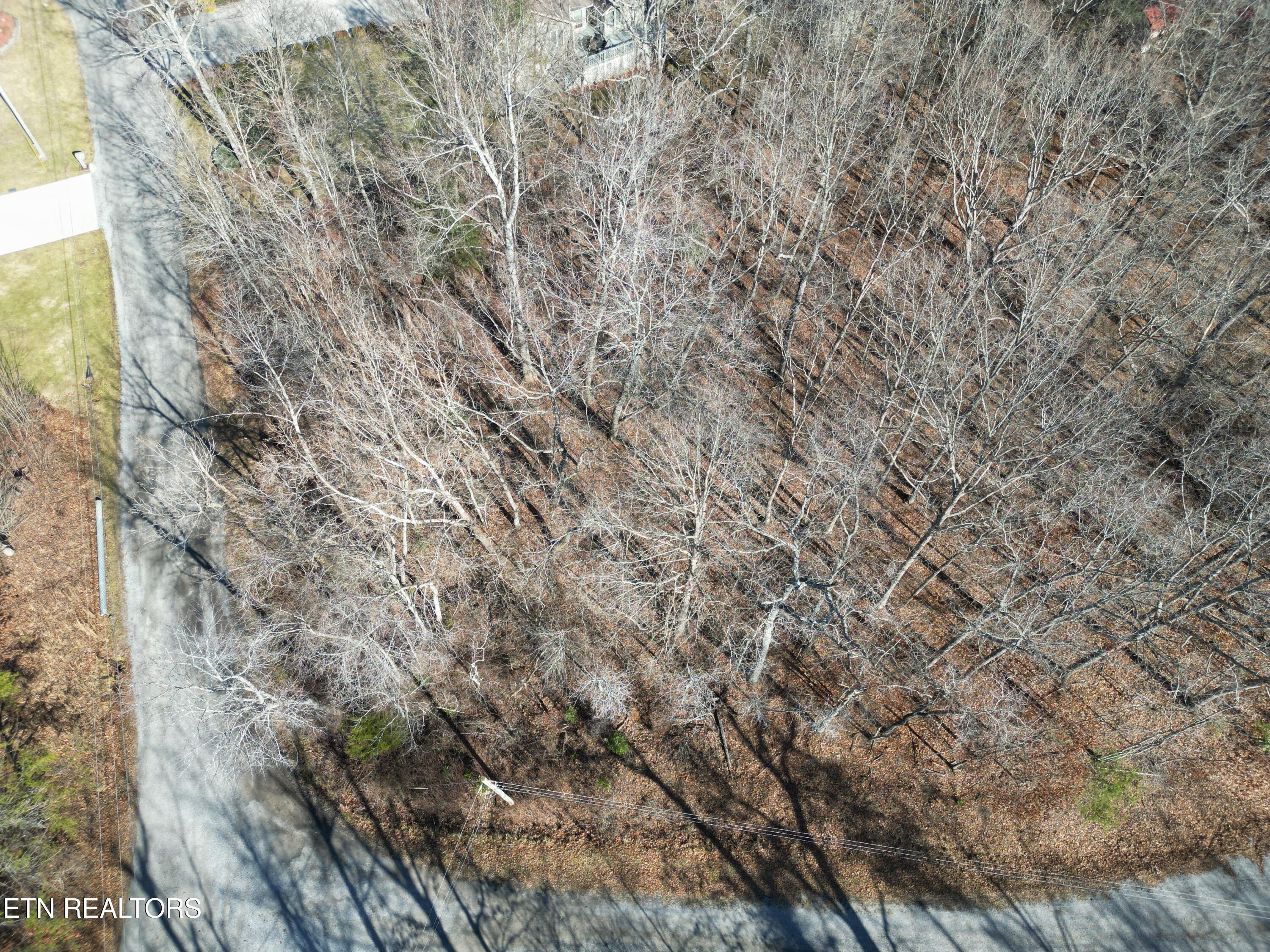 105 Chica Court Property Photo 2