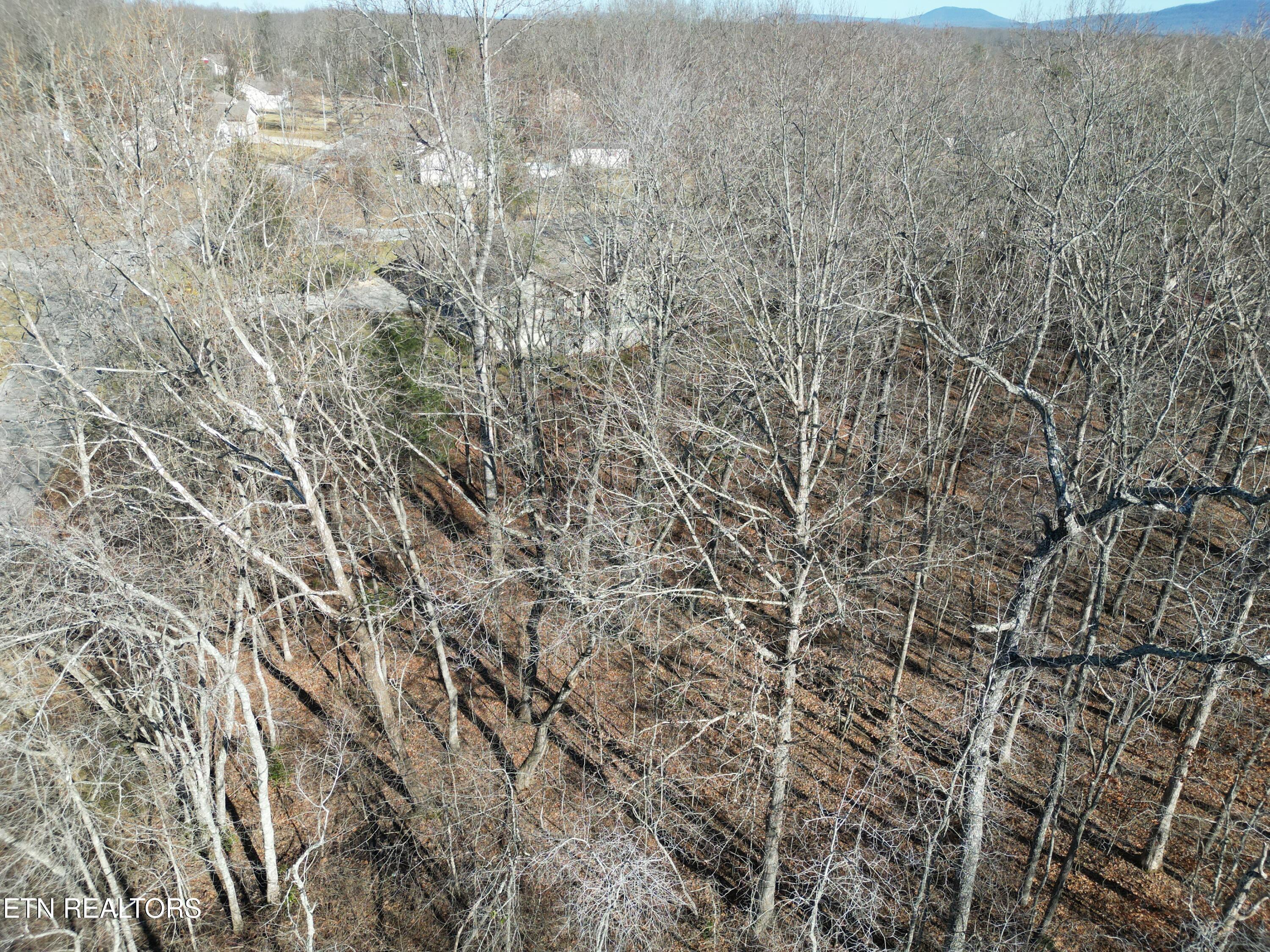 105 Chica Court Property Photo 3