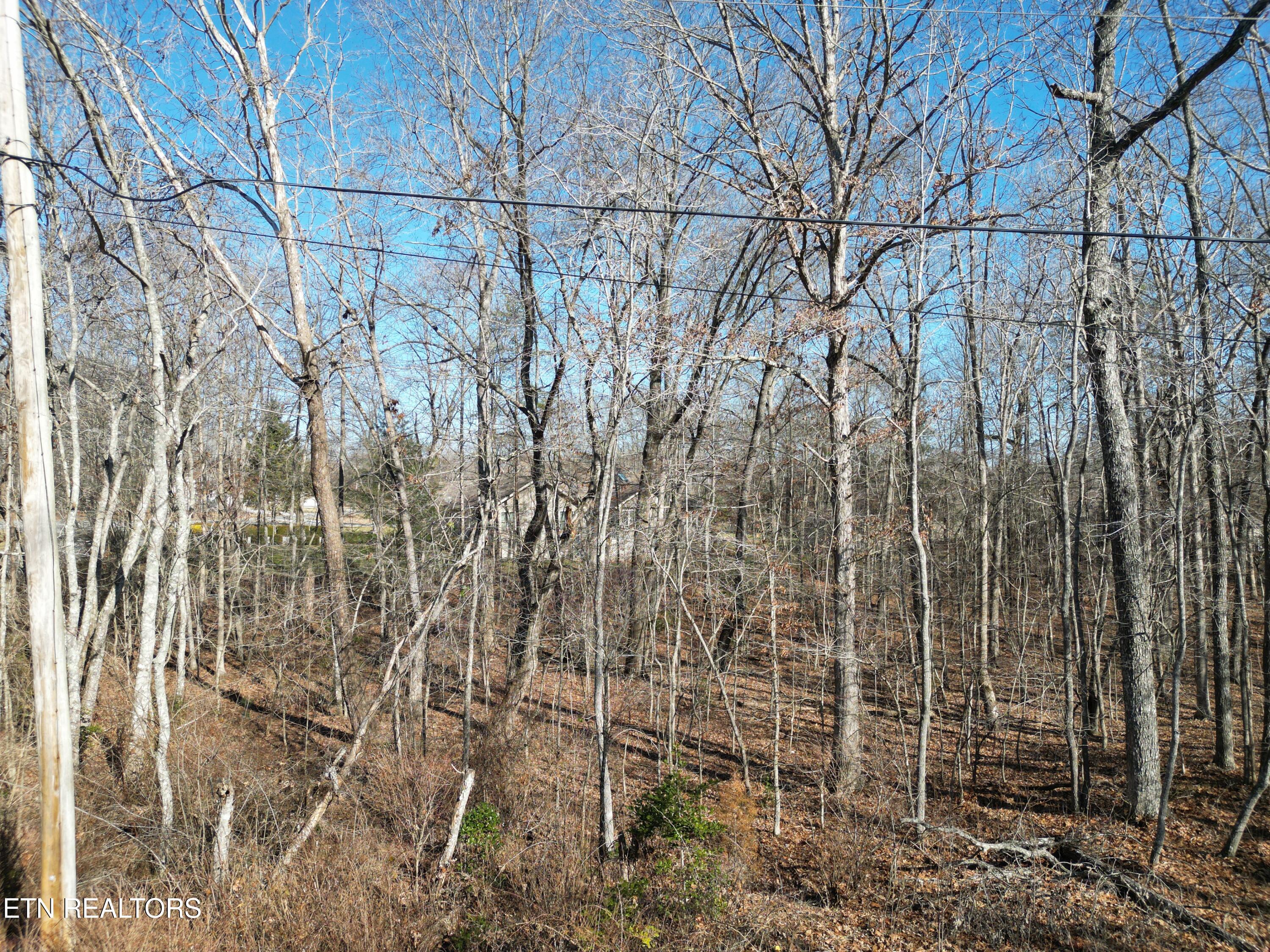 105 Chica Court Property Photo 4