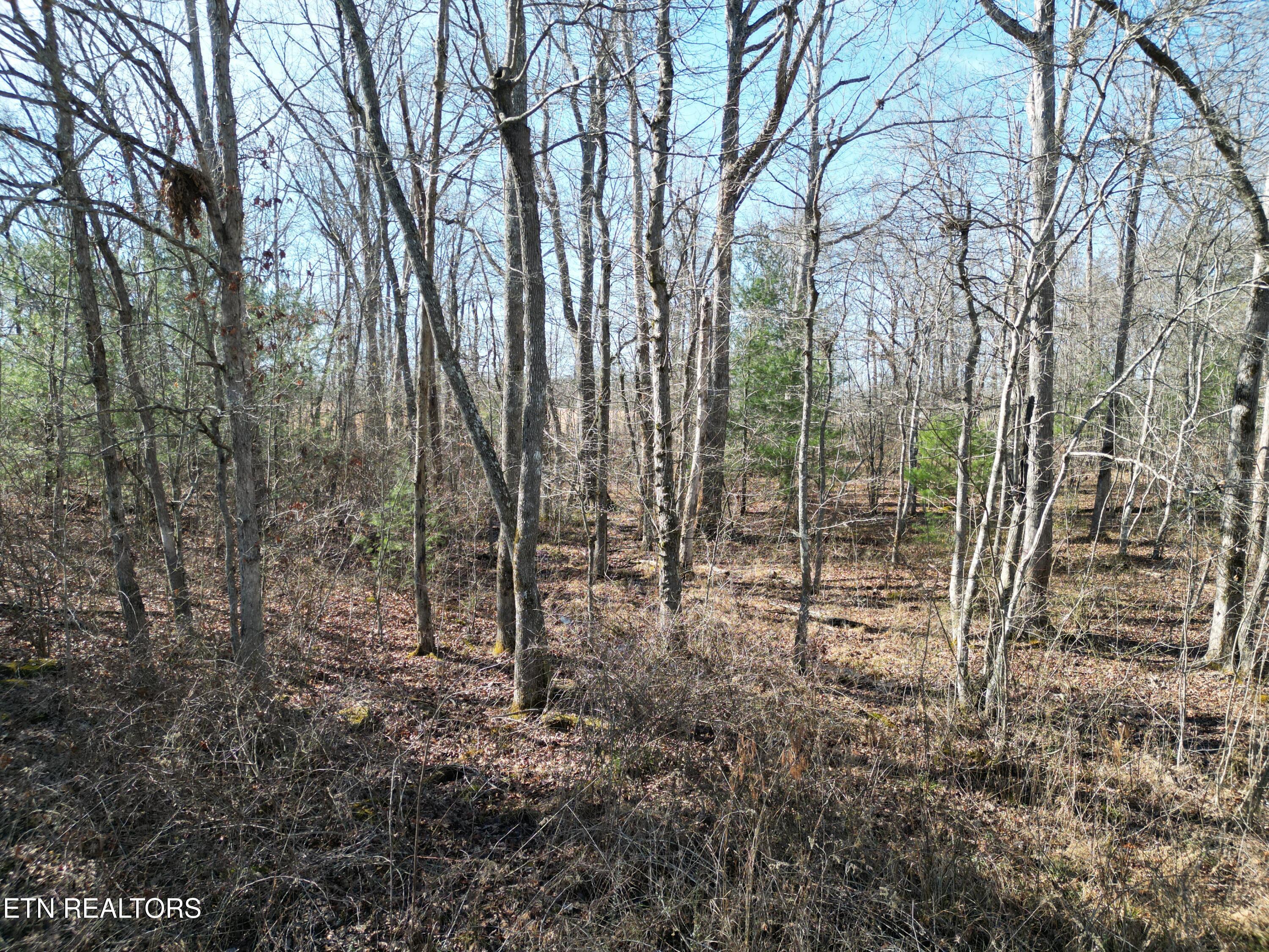 1102 Chanute Tr Property Photo 1