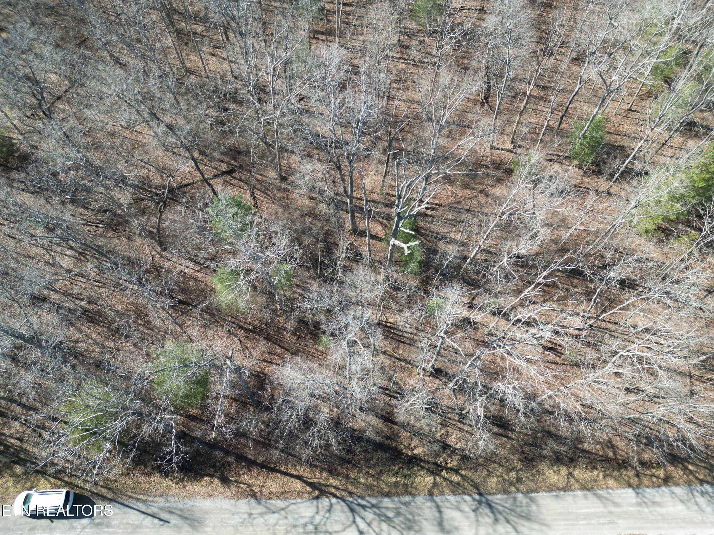 1102 Chanute Tr Property Photo 2