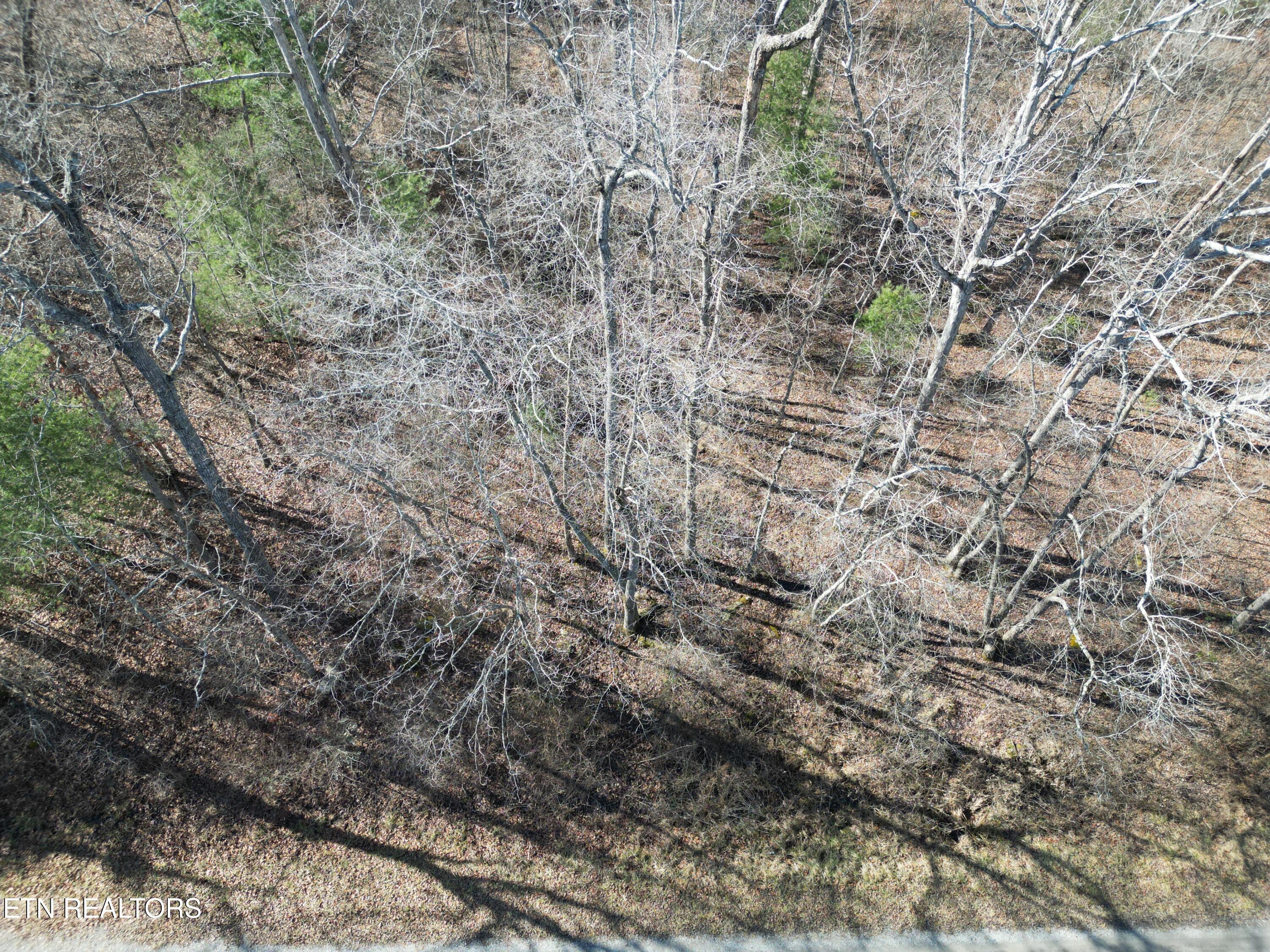 1102 Chanute Tr Property Photo 3