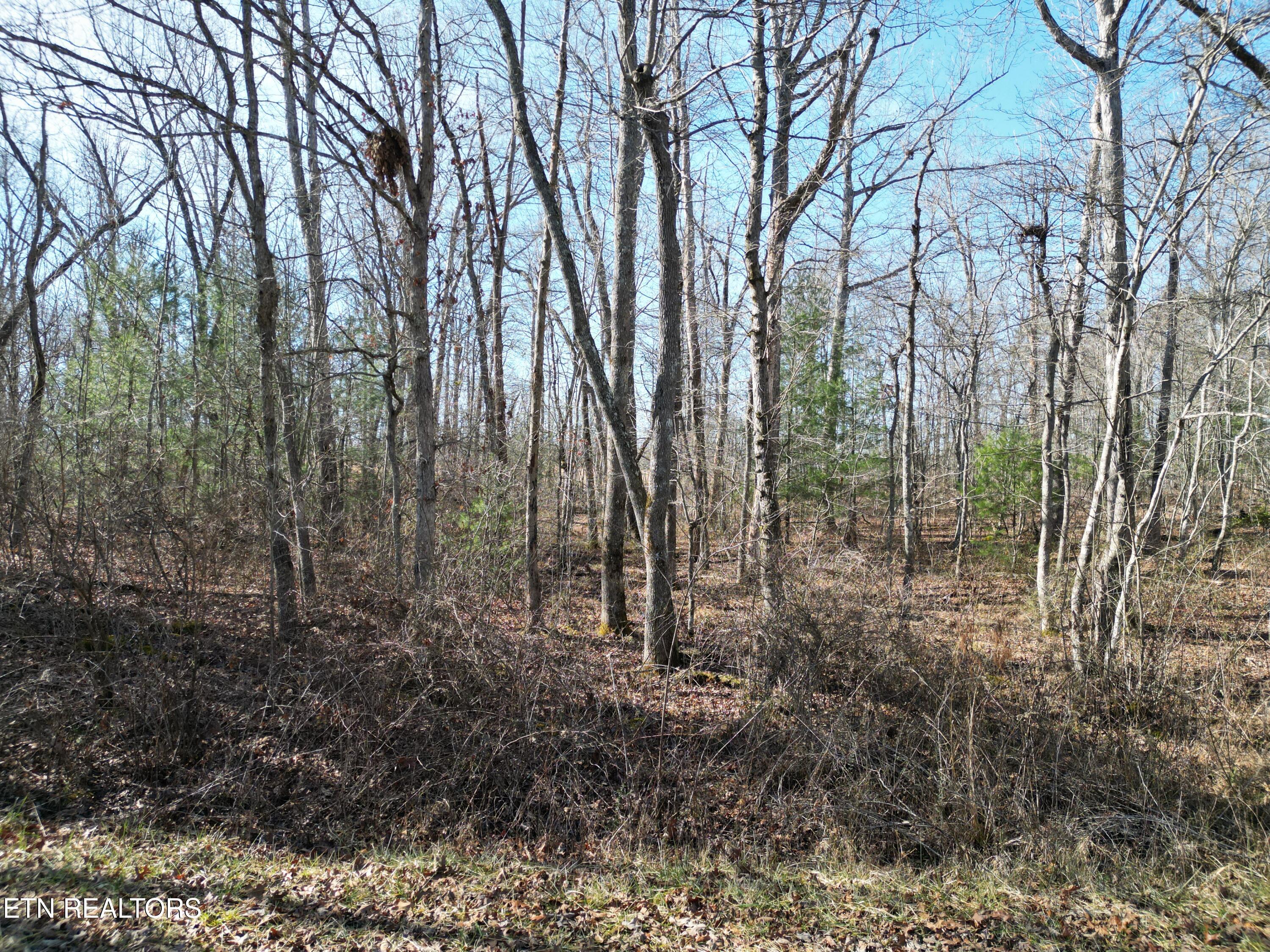 1102 Chanute Tr Property Photo 4