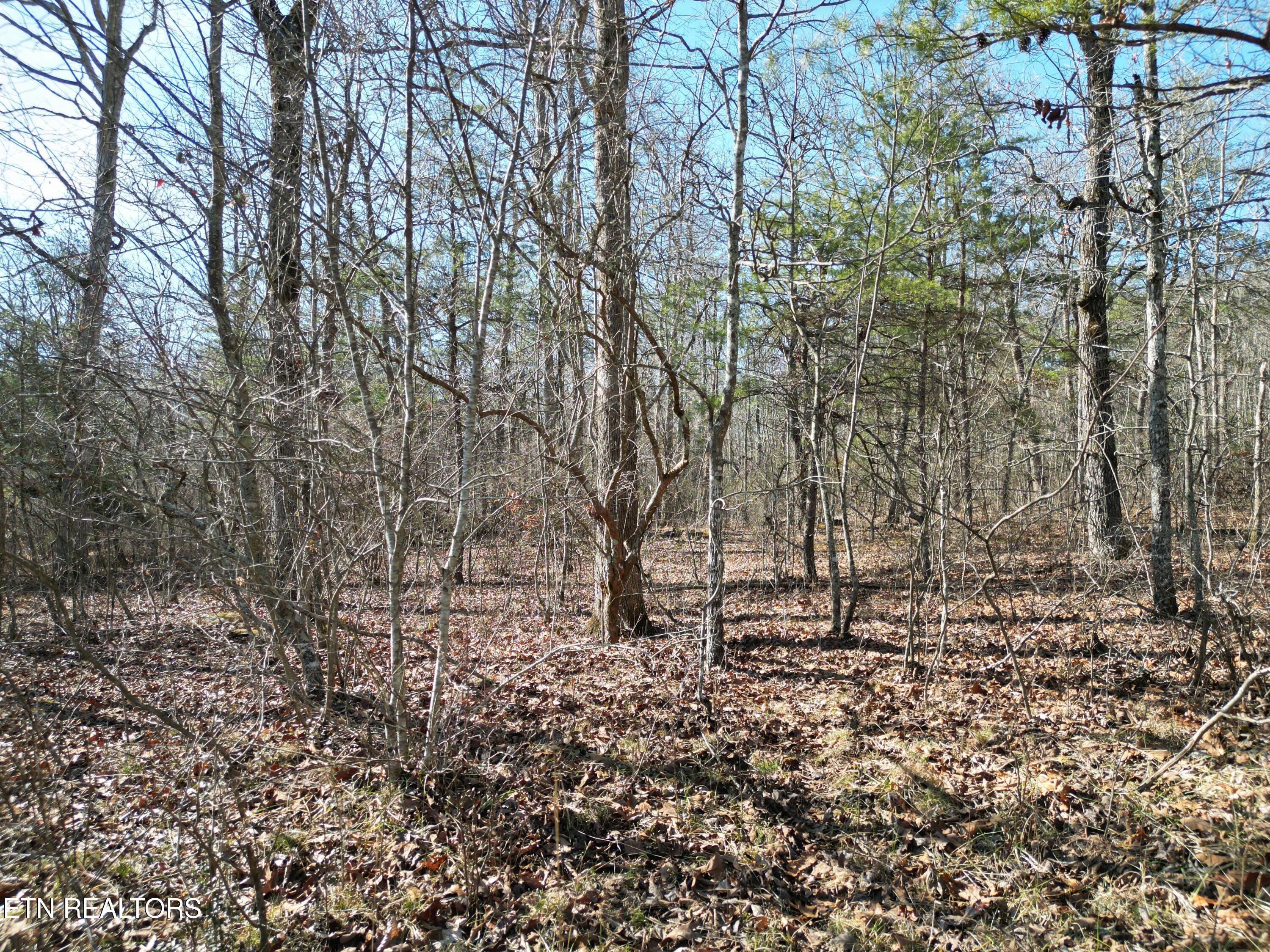 1130 Chanute Tr Property Photo 1