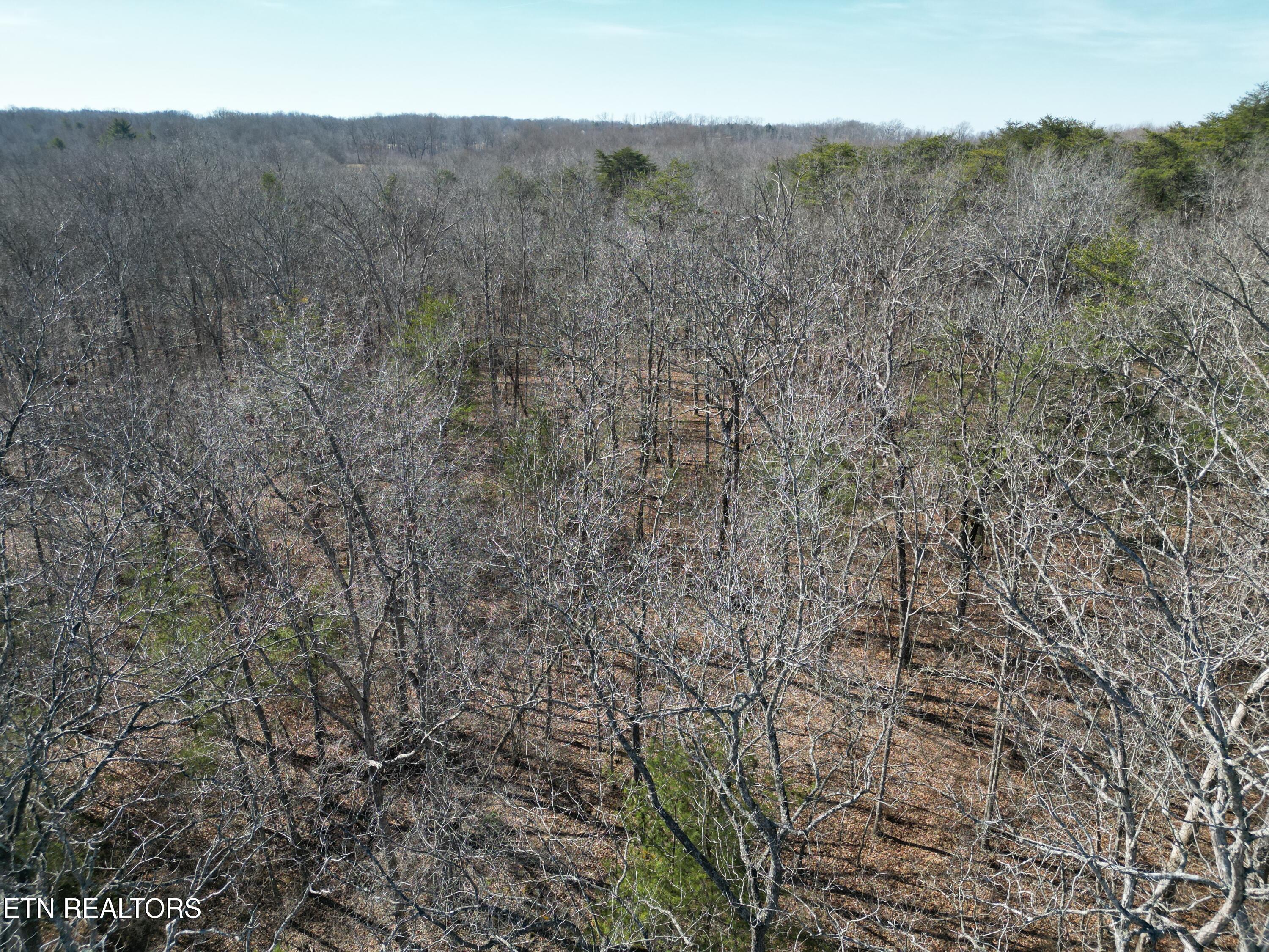 1130 Chanute Tr Property Photo 2