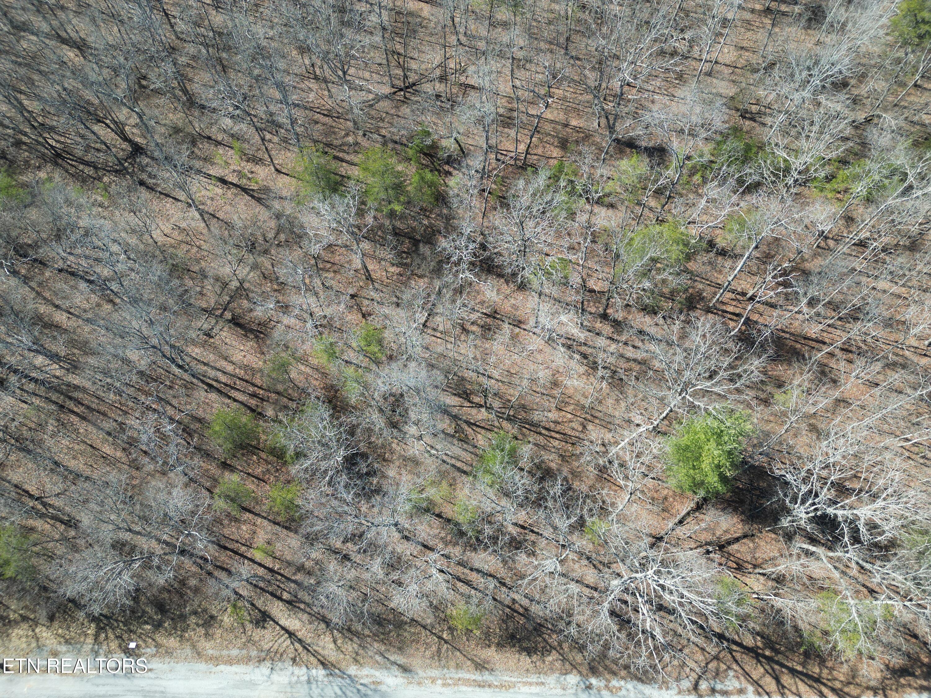 1130 Chanute Tr Property Photo 3