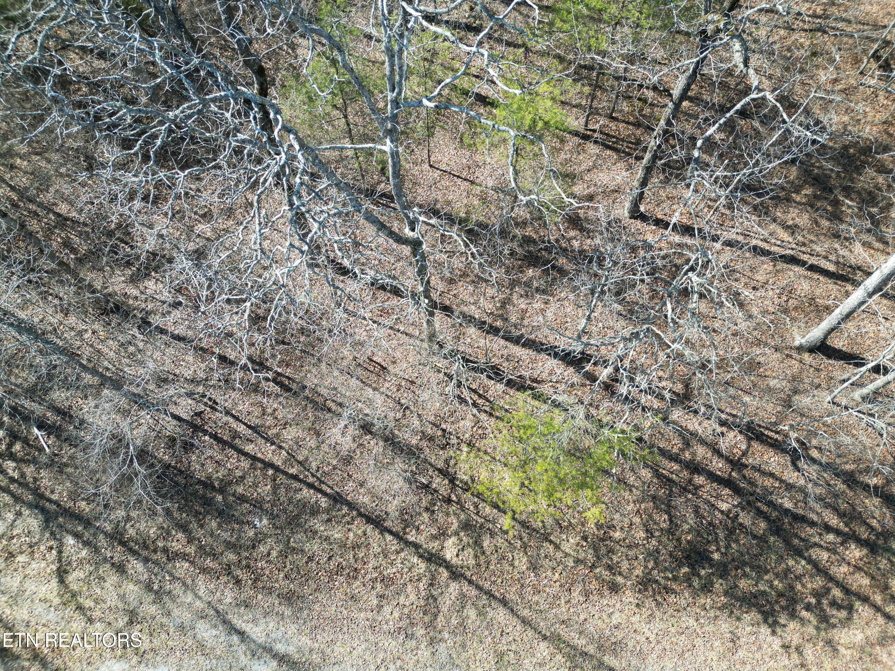 1130 Chanute Tr Property Photo 4