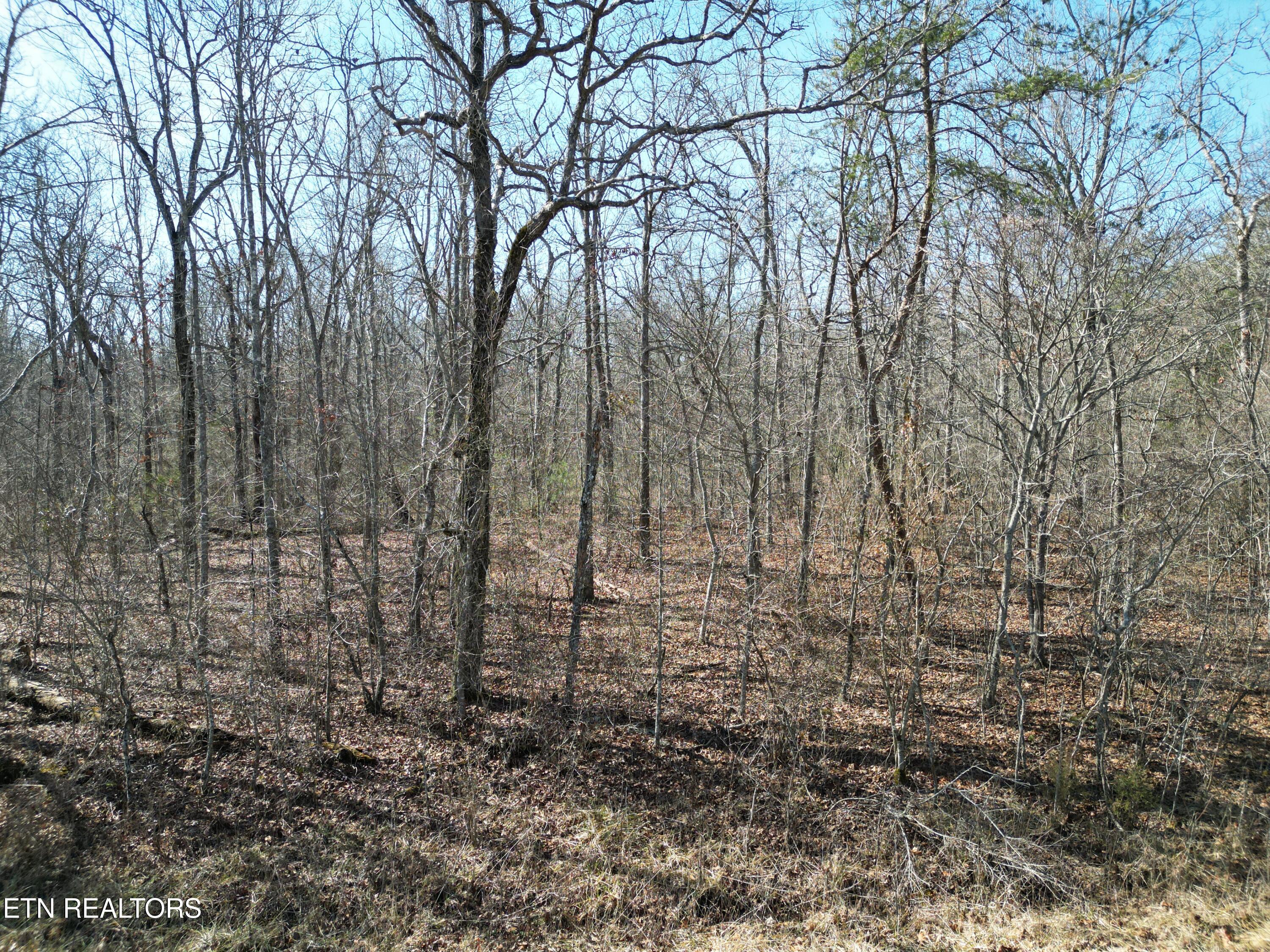 1134 Chanute Tr Property Photo 1