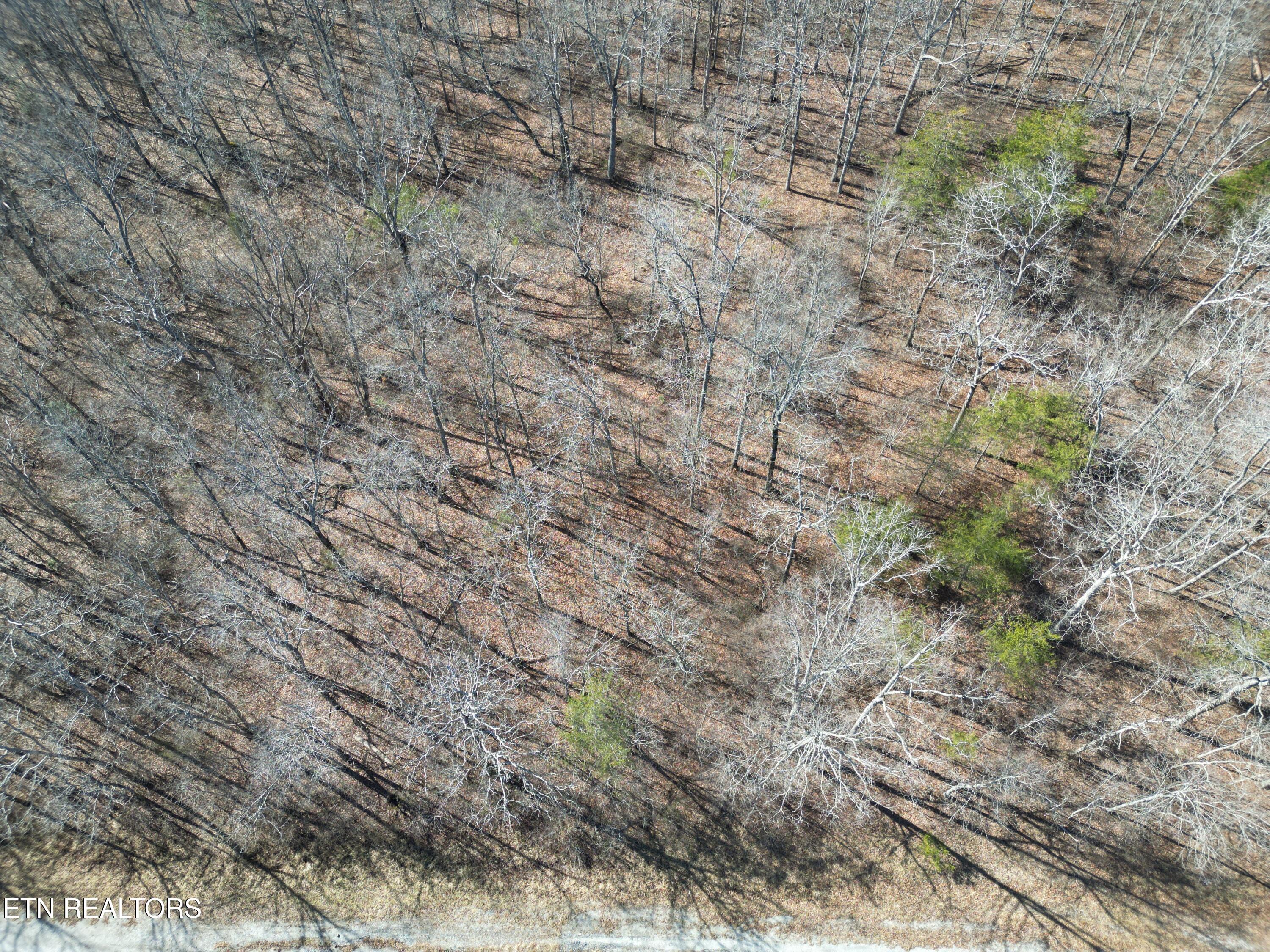 1134 Chanute Tr Property Photo 2