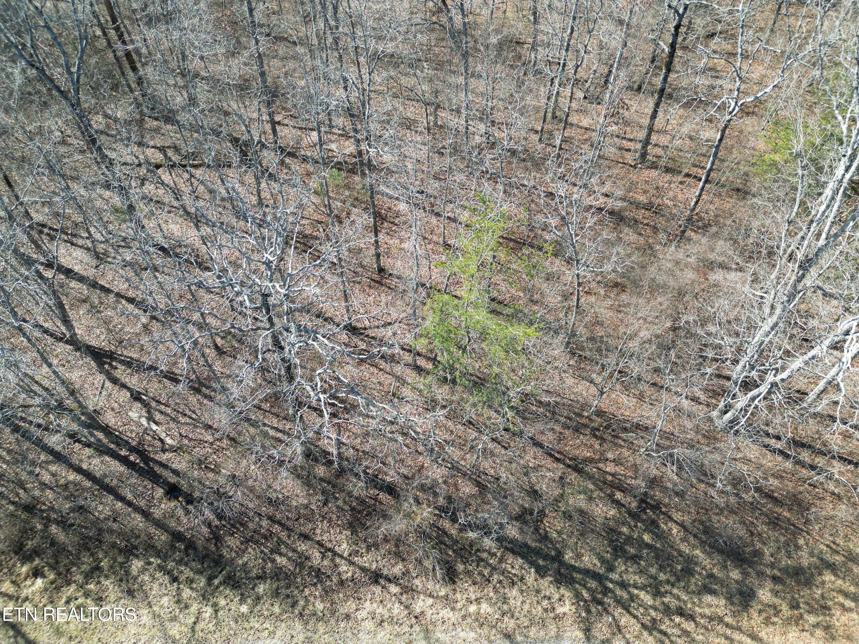 1134 Chanute Tr Property Photo 3