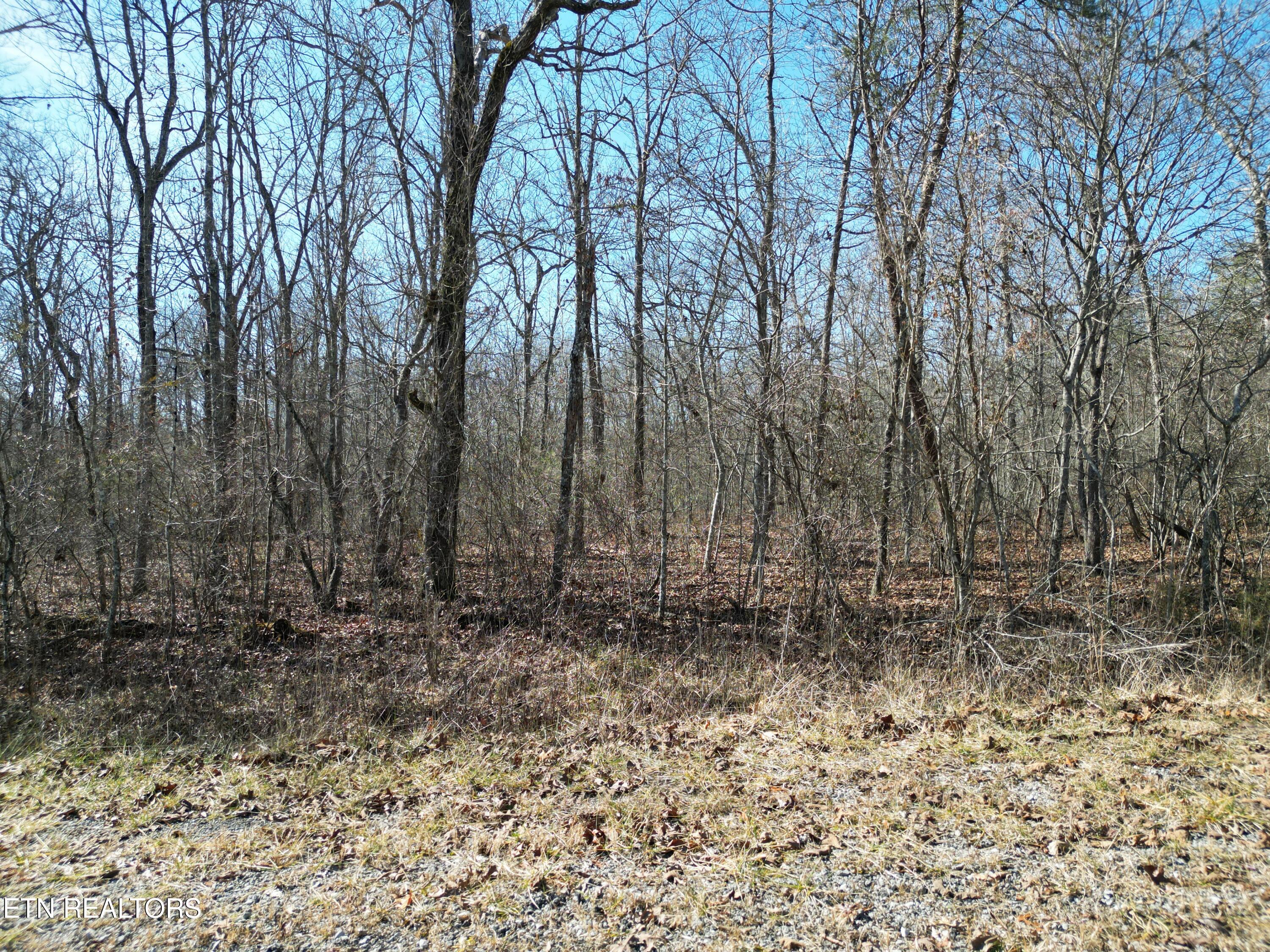1134 Chanute Tr Property Photo 4