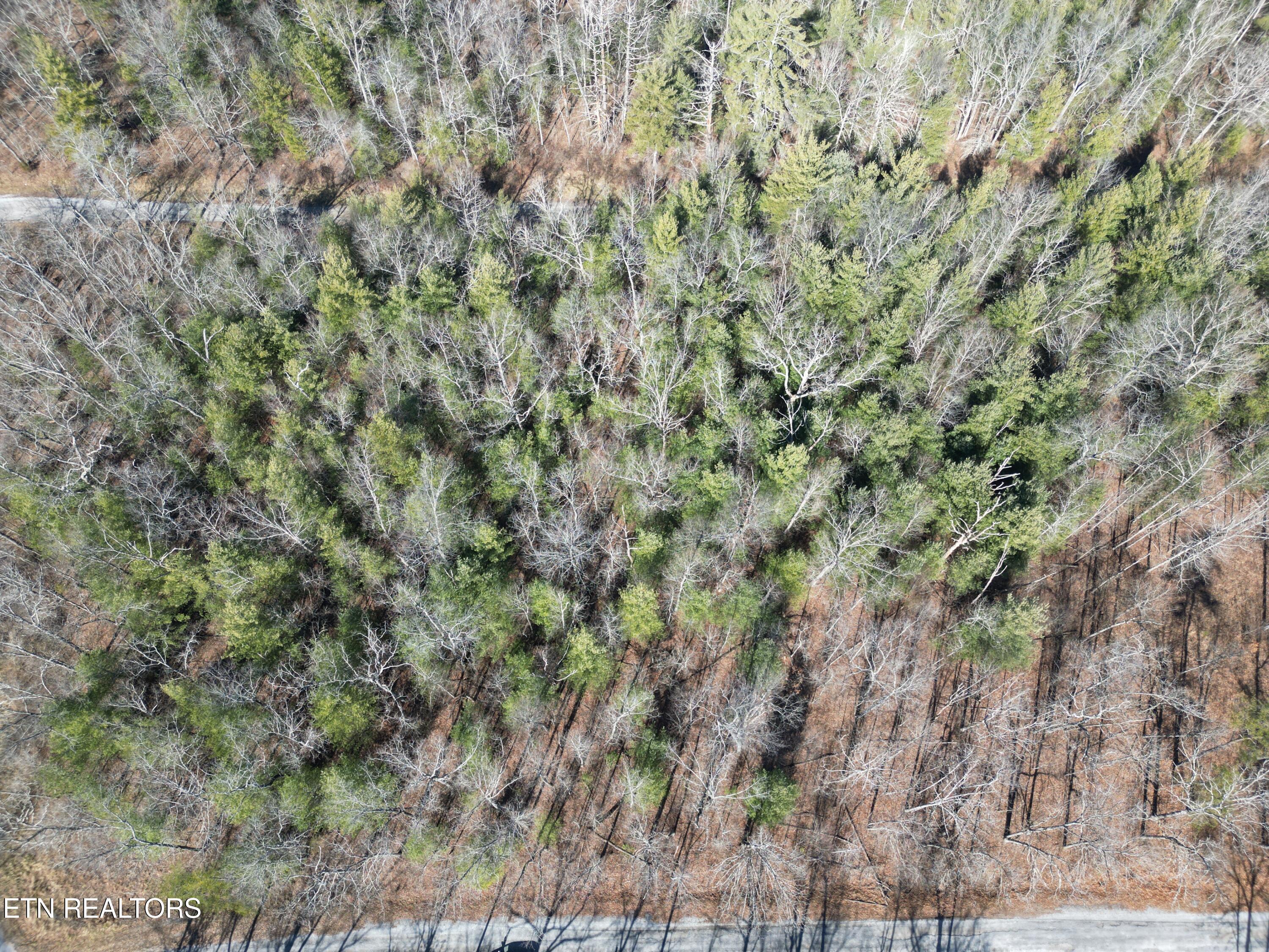116 Kachina Lane Property Photo 2