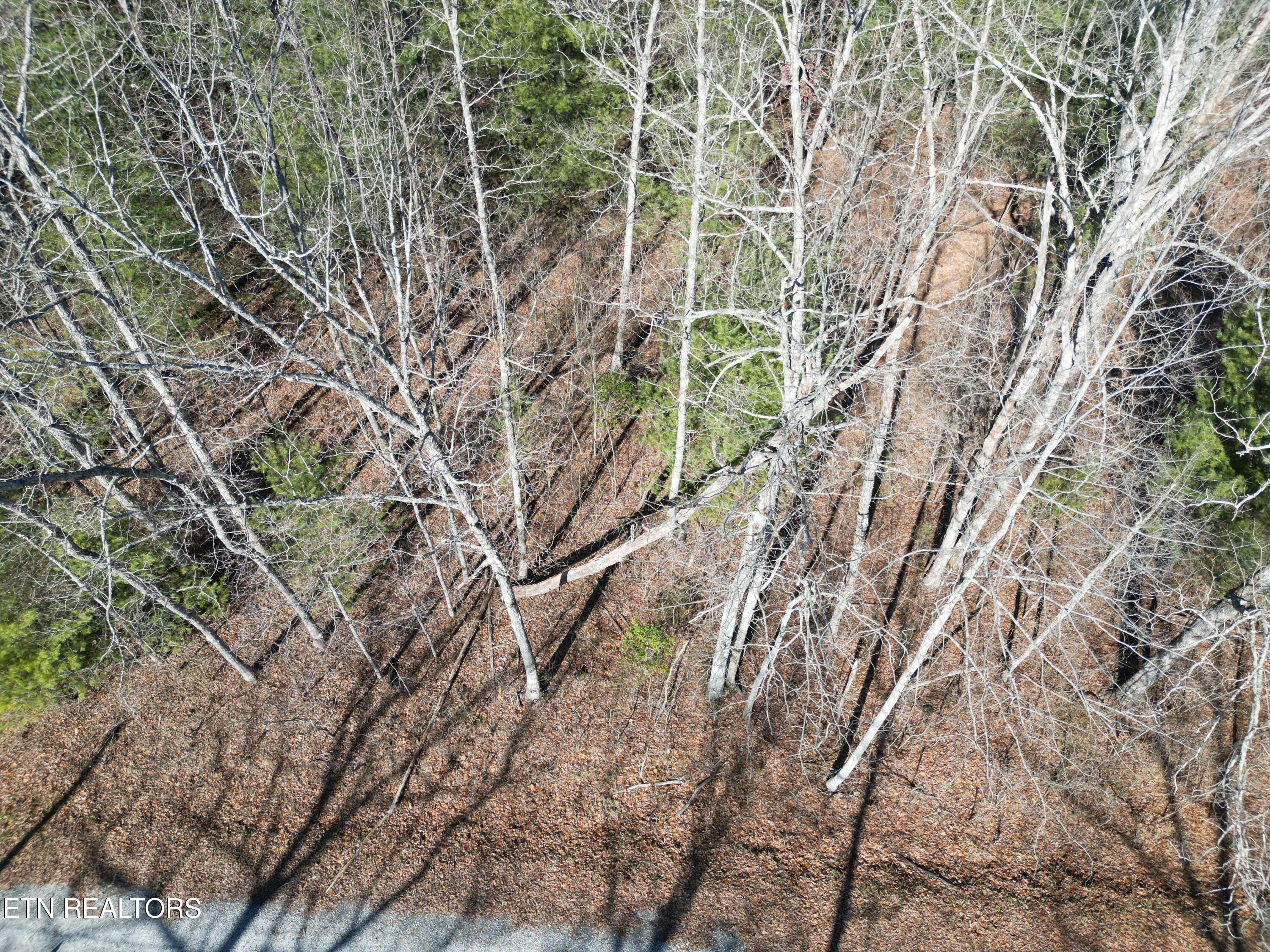116 Kachina Lane Property Photo 4
