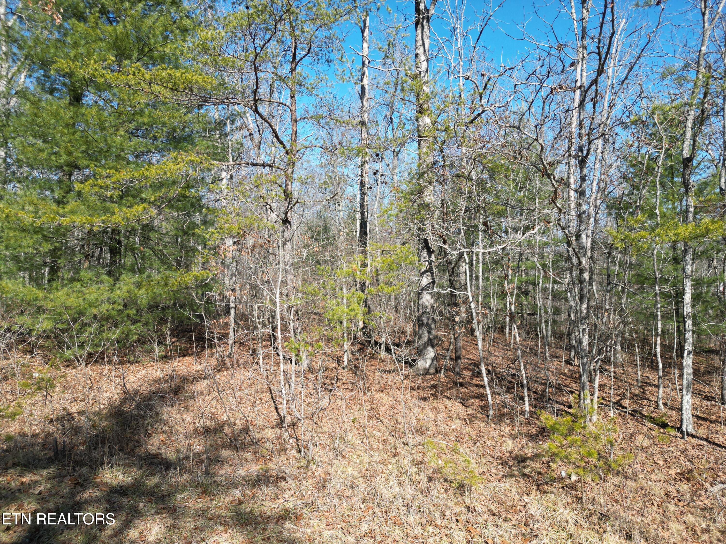 1176 Chanute Tr Property Photo 1