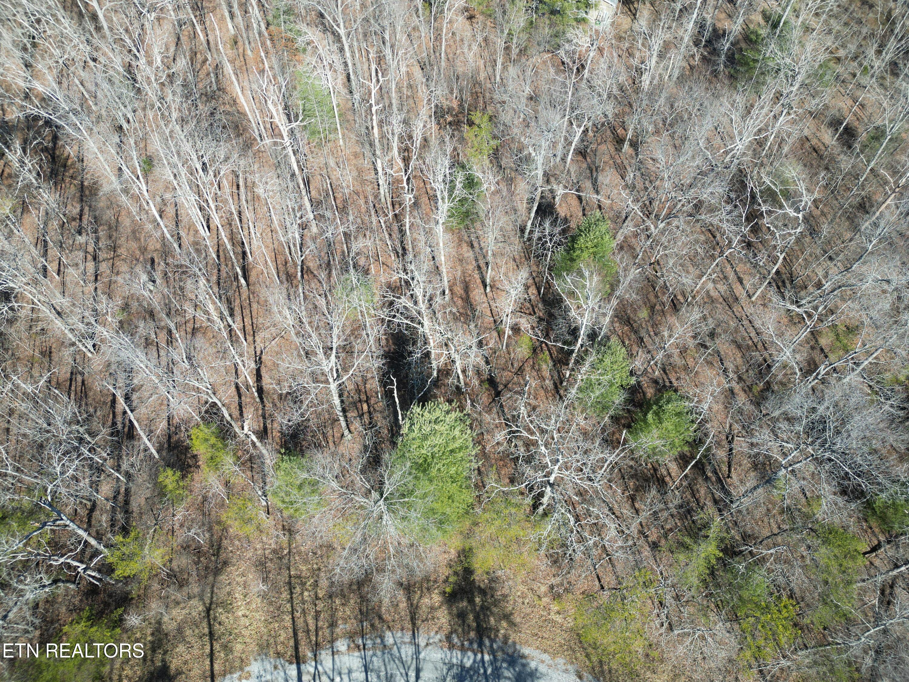 1176 Chanute Tr Property Photo 3